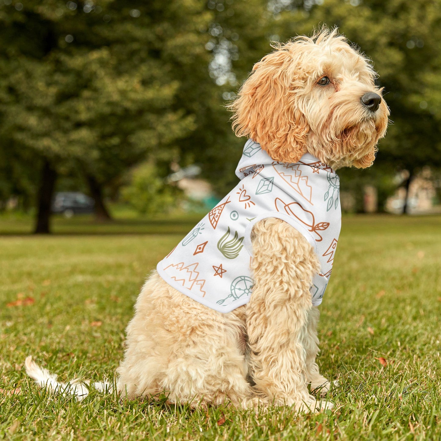 Bohemian Southwest Vibes Pet Hoodie 🌵