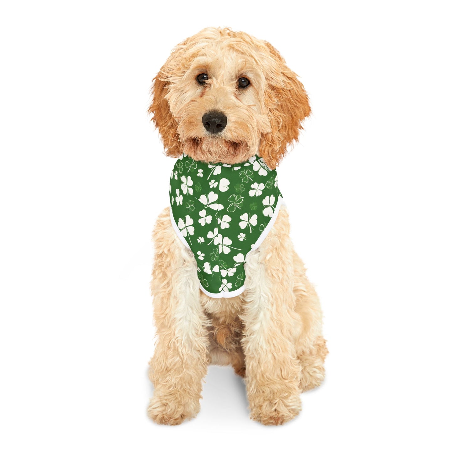 Lucky Pup Shamrock Pet Hoodie 🍀