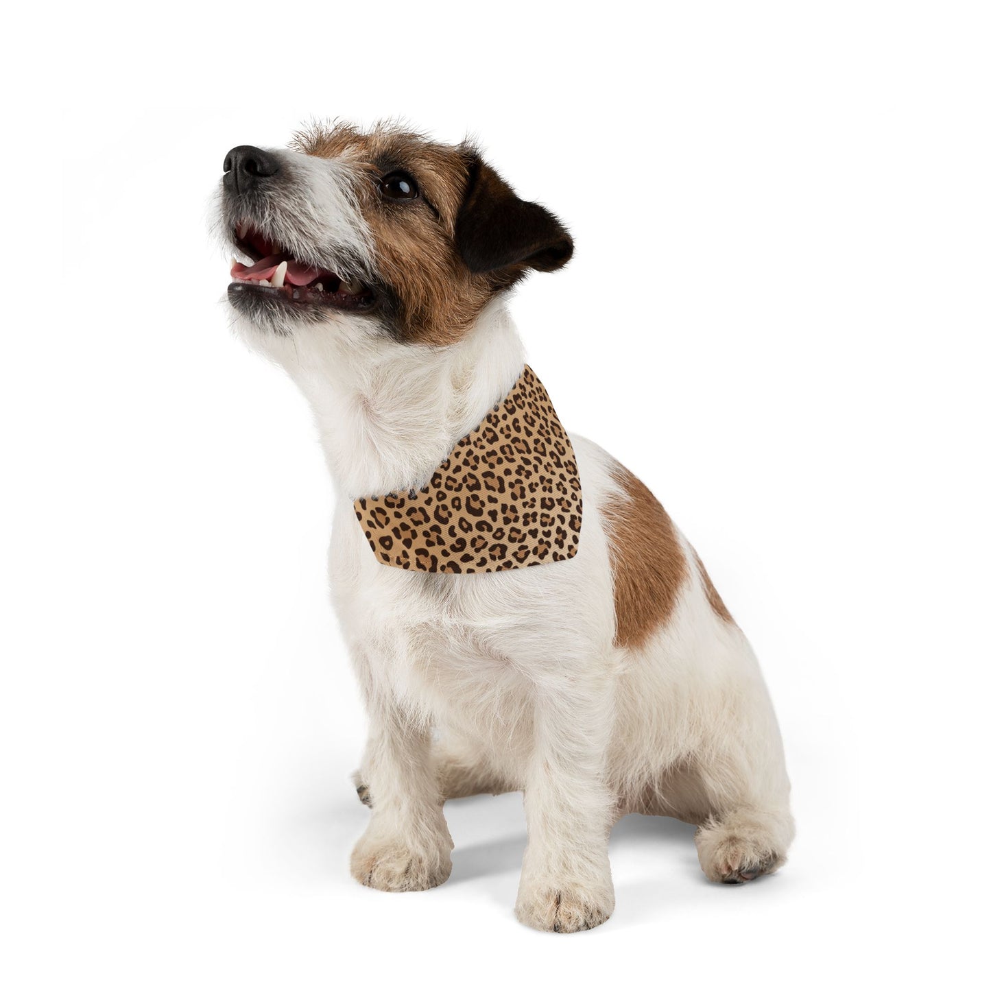 Leopard Print Pet Bandana Collar 🐆