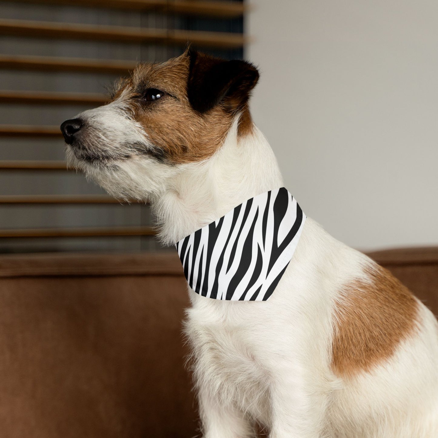 Zebra Pet Bandana Collar 🦓