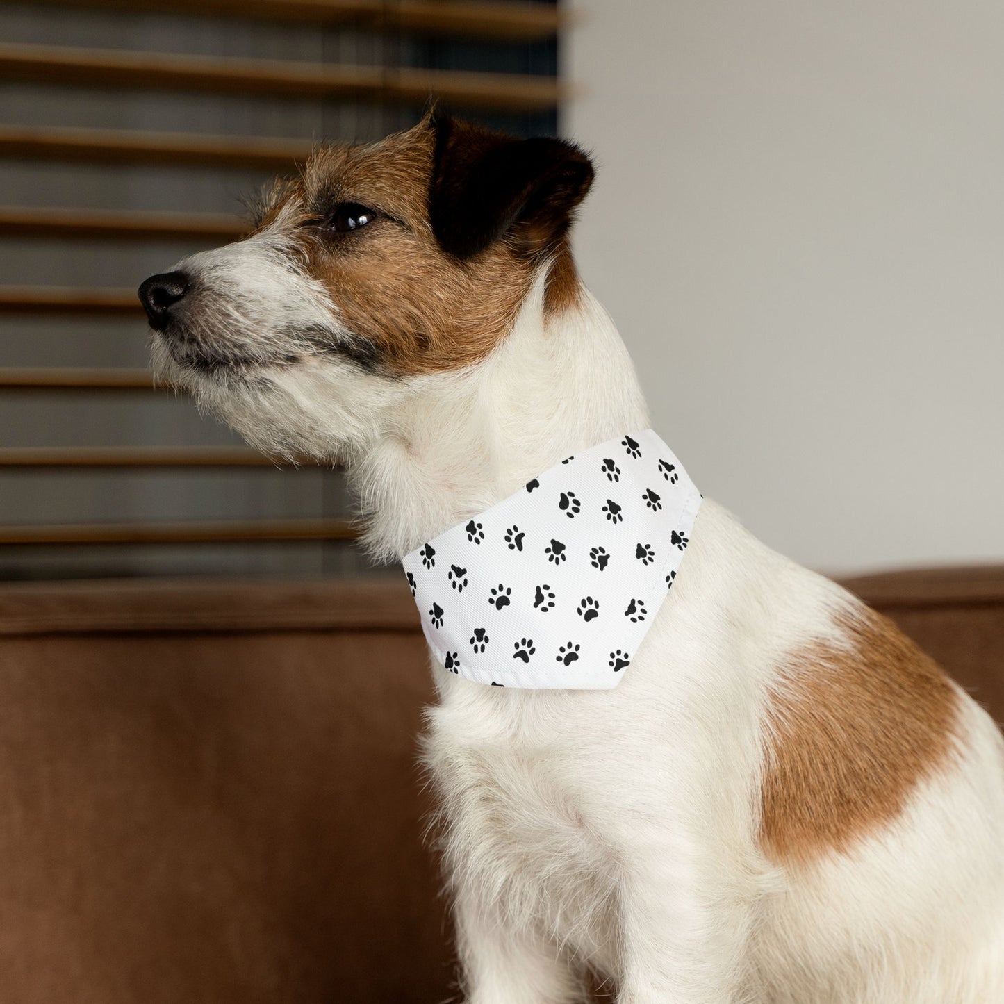 Paw Print Pet Bandana Collar 🐾