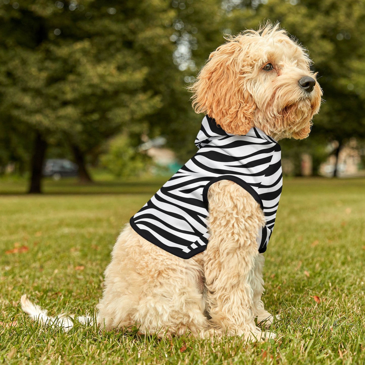 Zebra Pet Hoodie 🦓