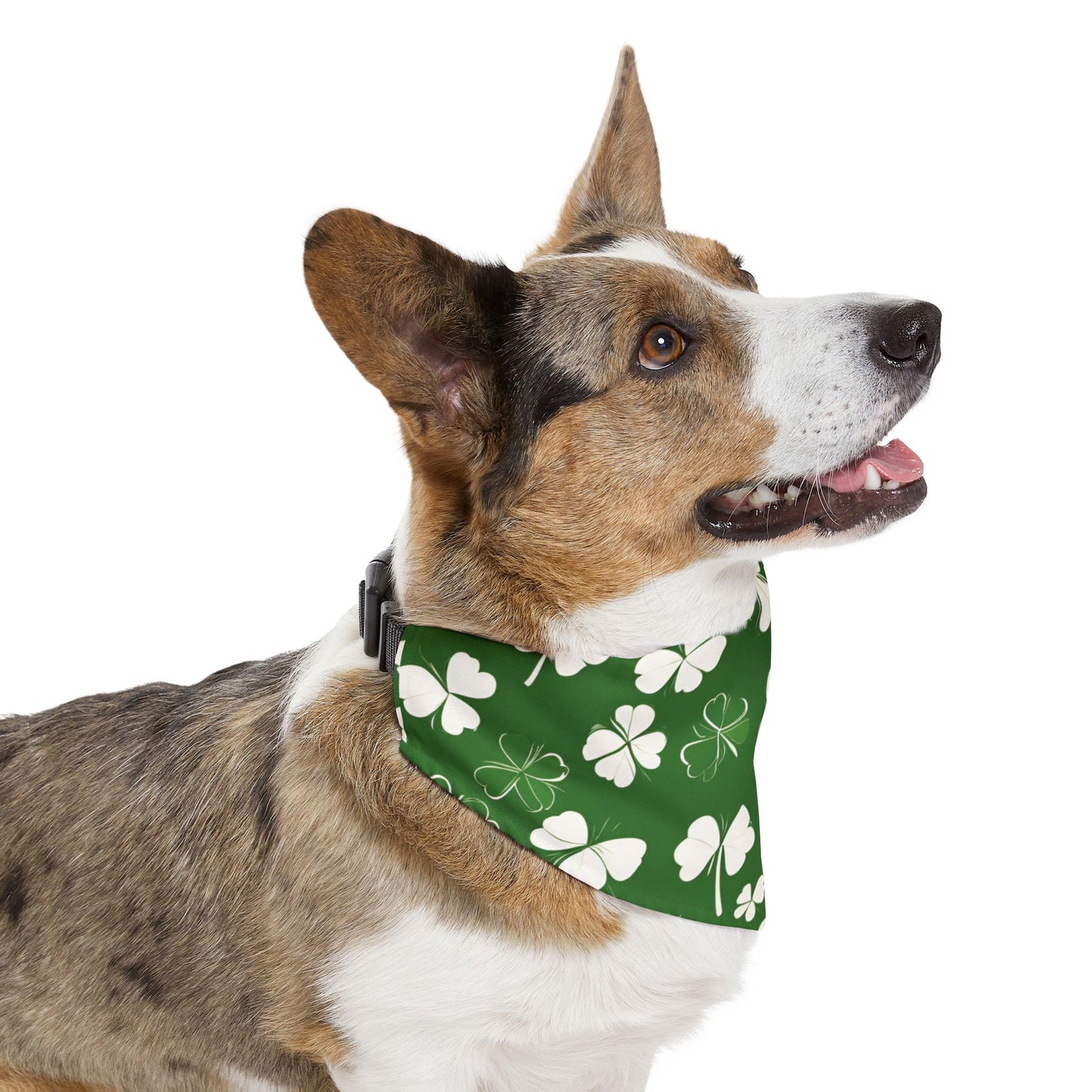 Lucky Pup Pet Bandana Collar 🍀