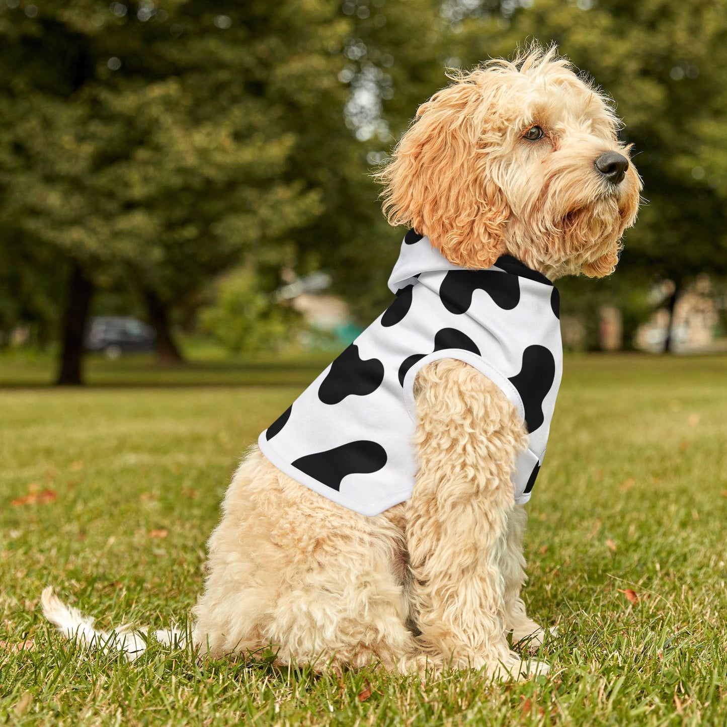 Cow Print Pet Hoodie 🐮