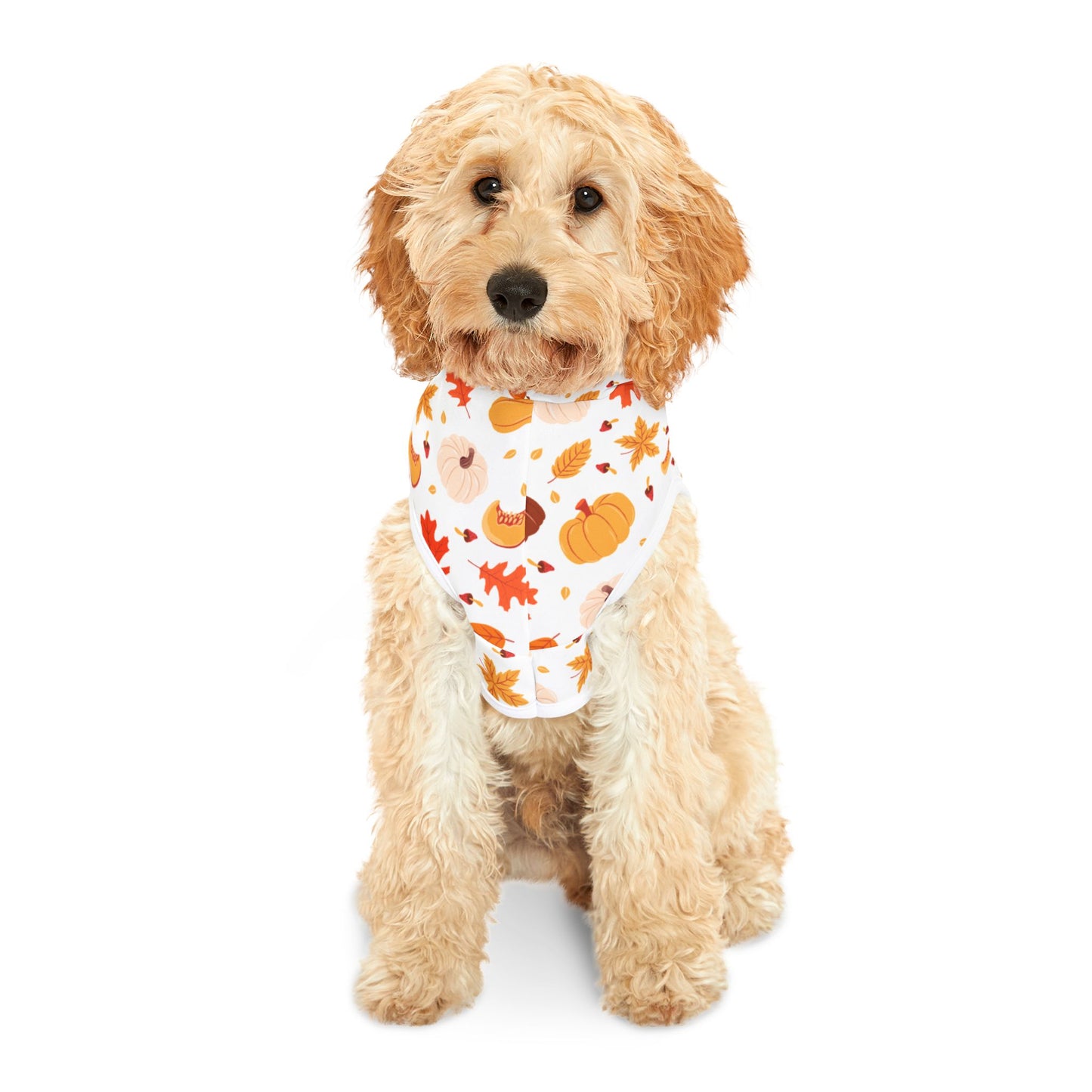 Pumpkin Patch Pet Hoodie 🎃