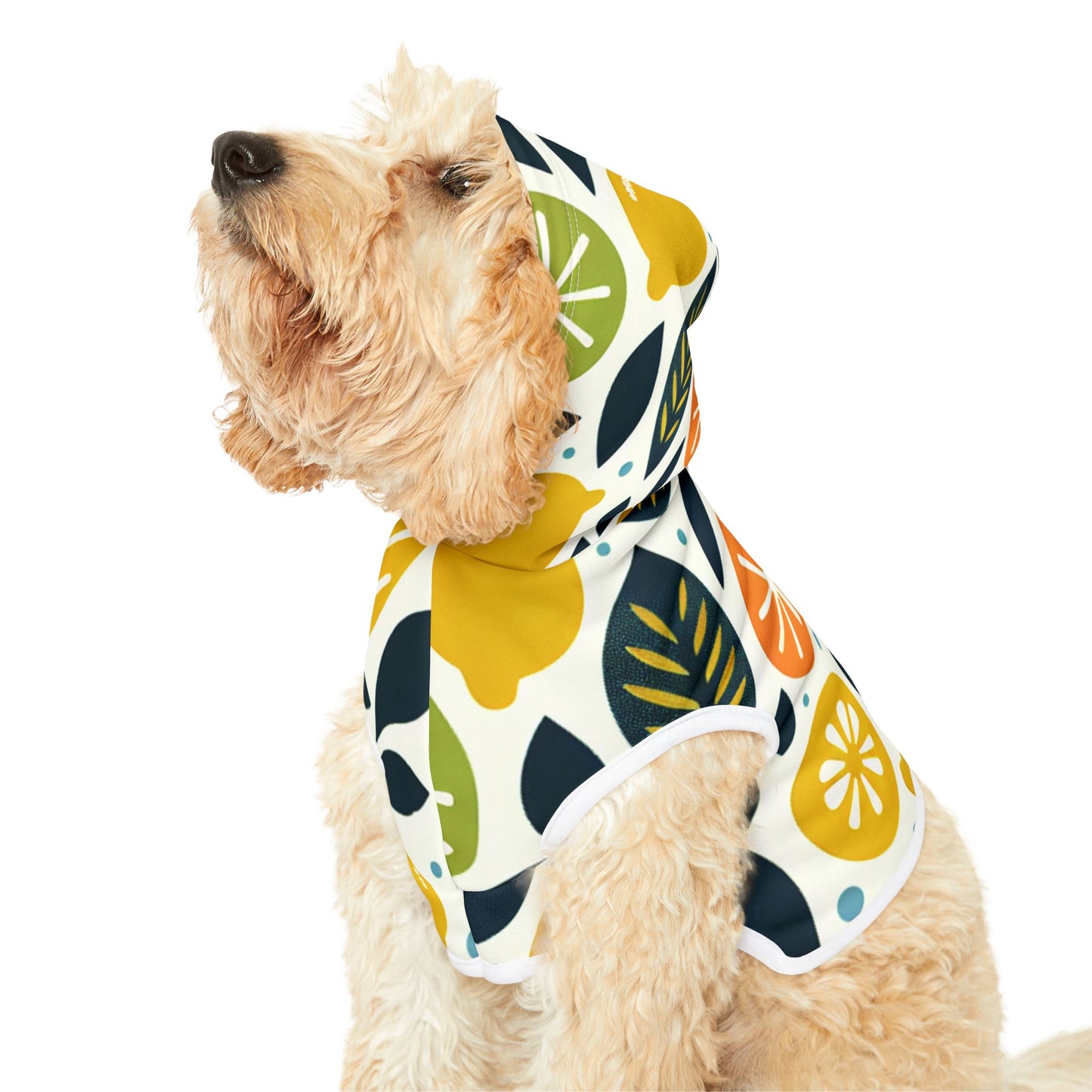 Citrus Pet Hoodie 🍊