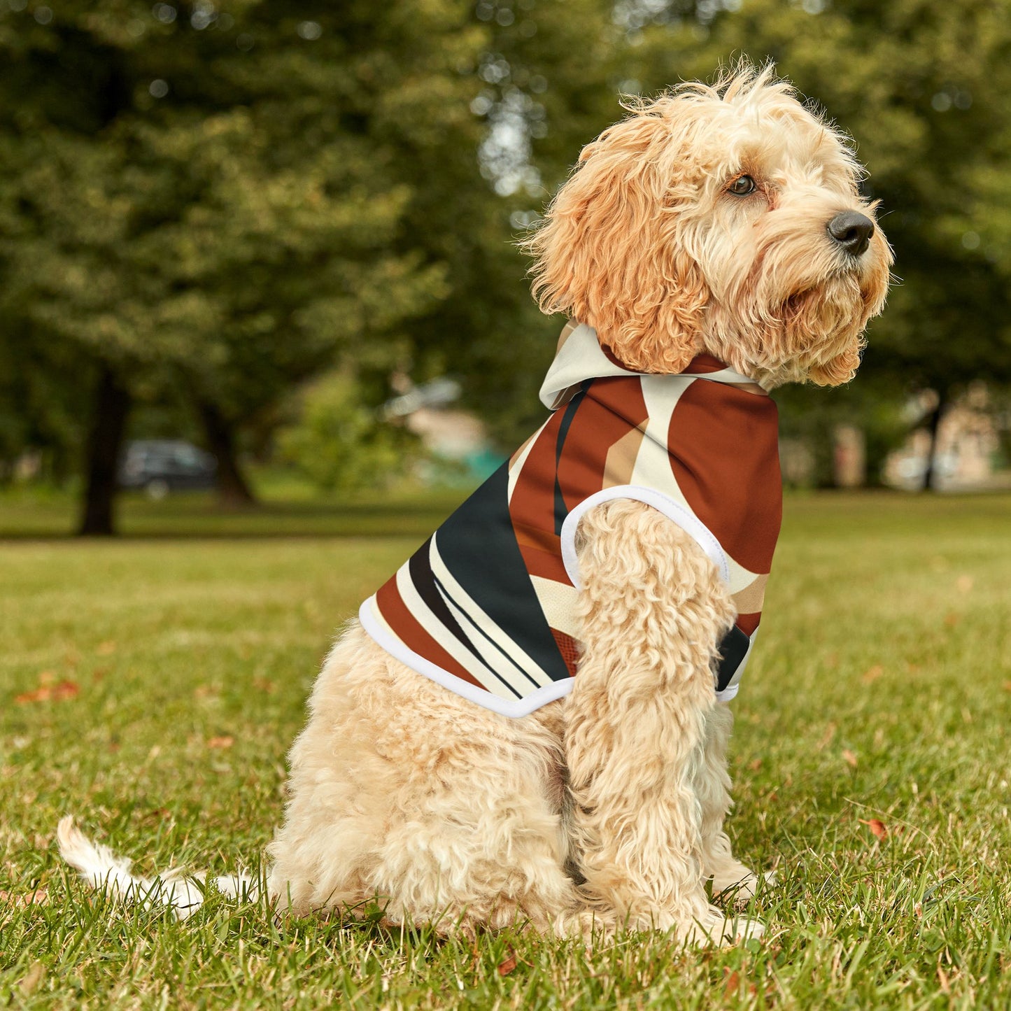 Minimalist Mountain Pet Hoodie