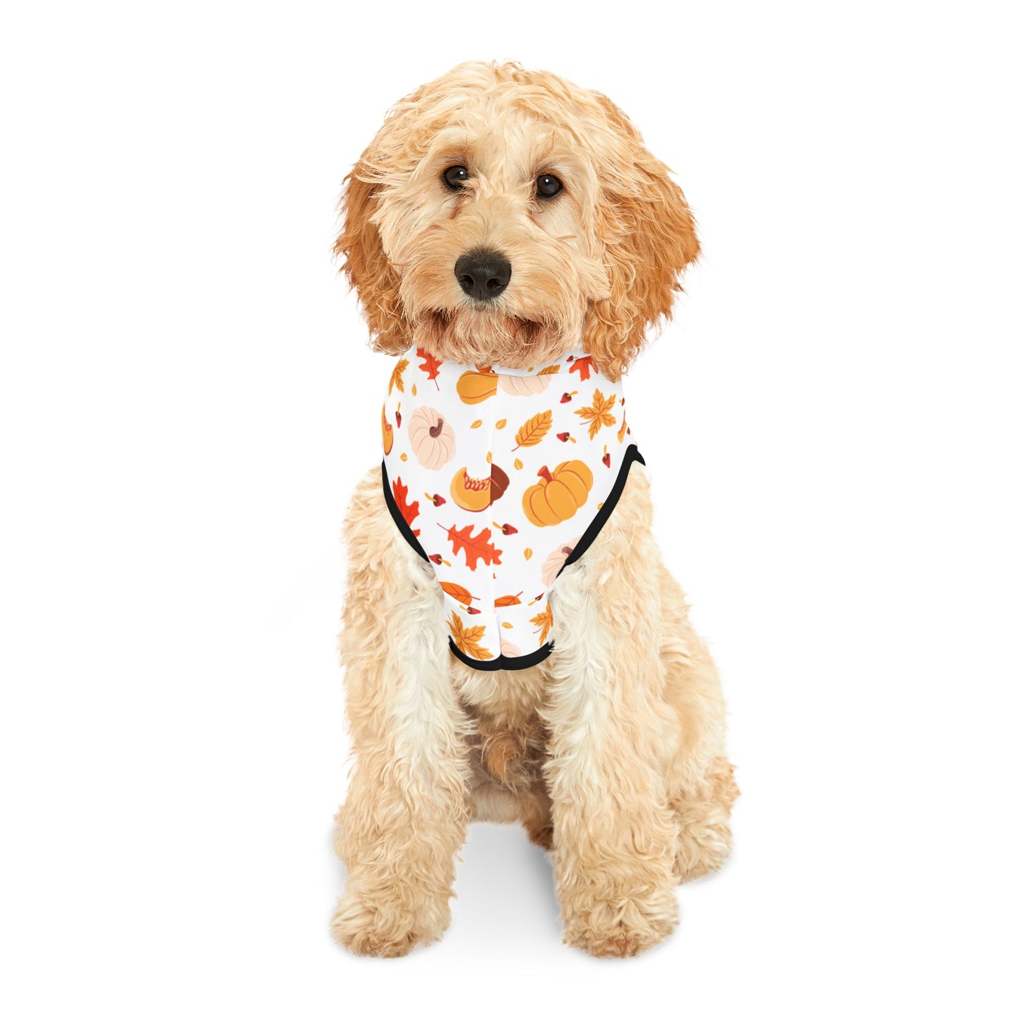 Pumpkin Patch Pet Hoodie 🎃