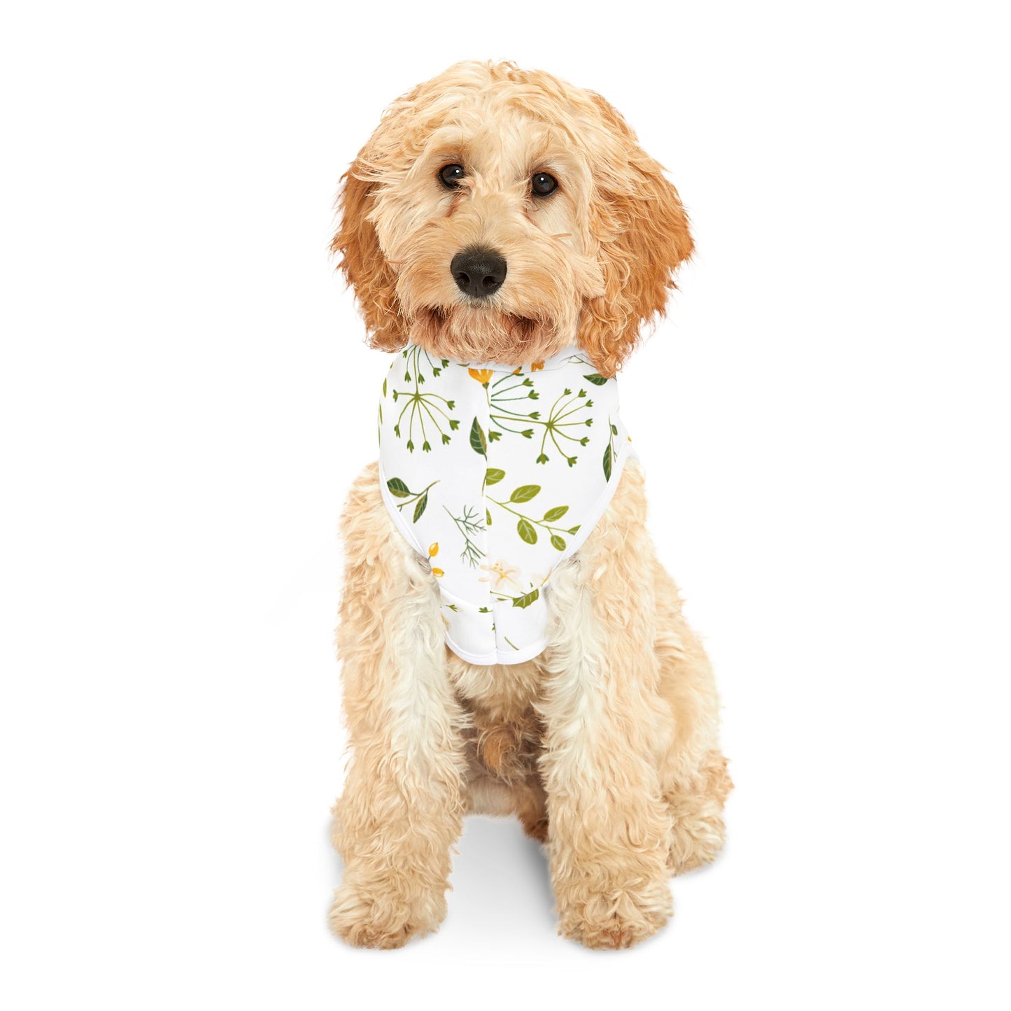 Spring Vibes Pet Hoodie 🌿