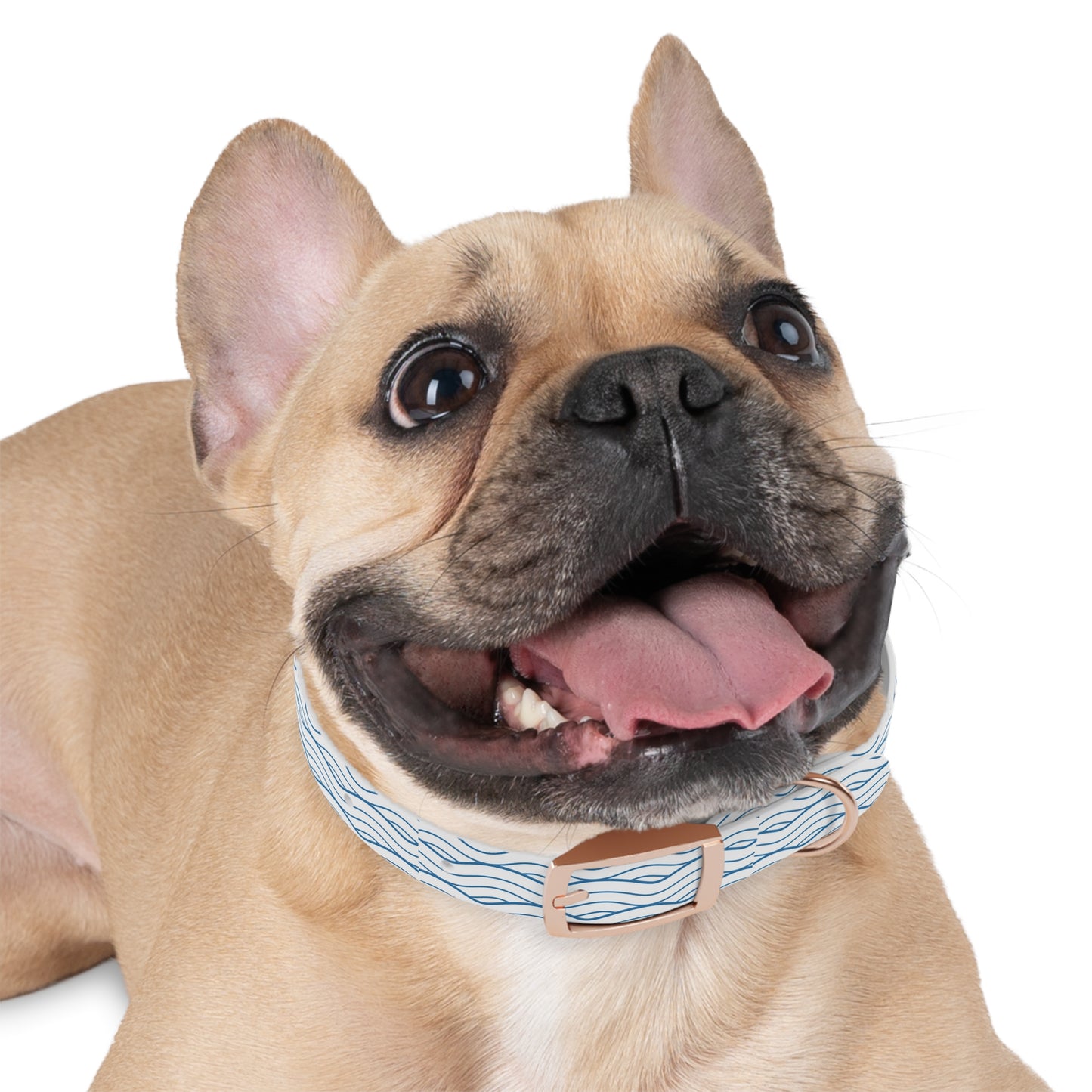 Wave Pattern Dog Collar 🌊