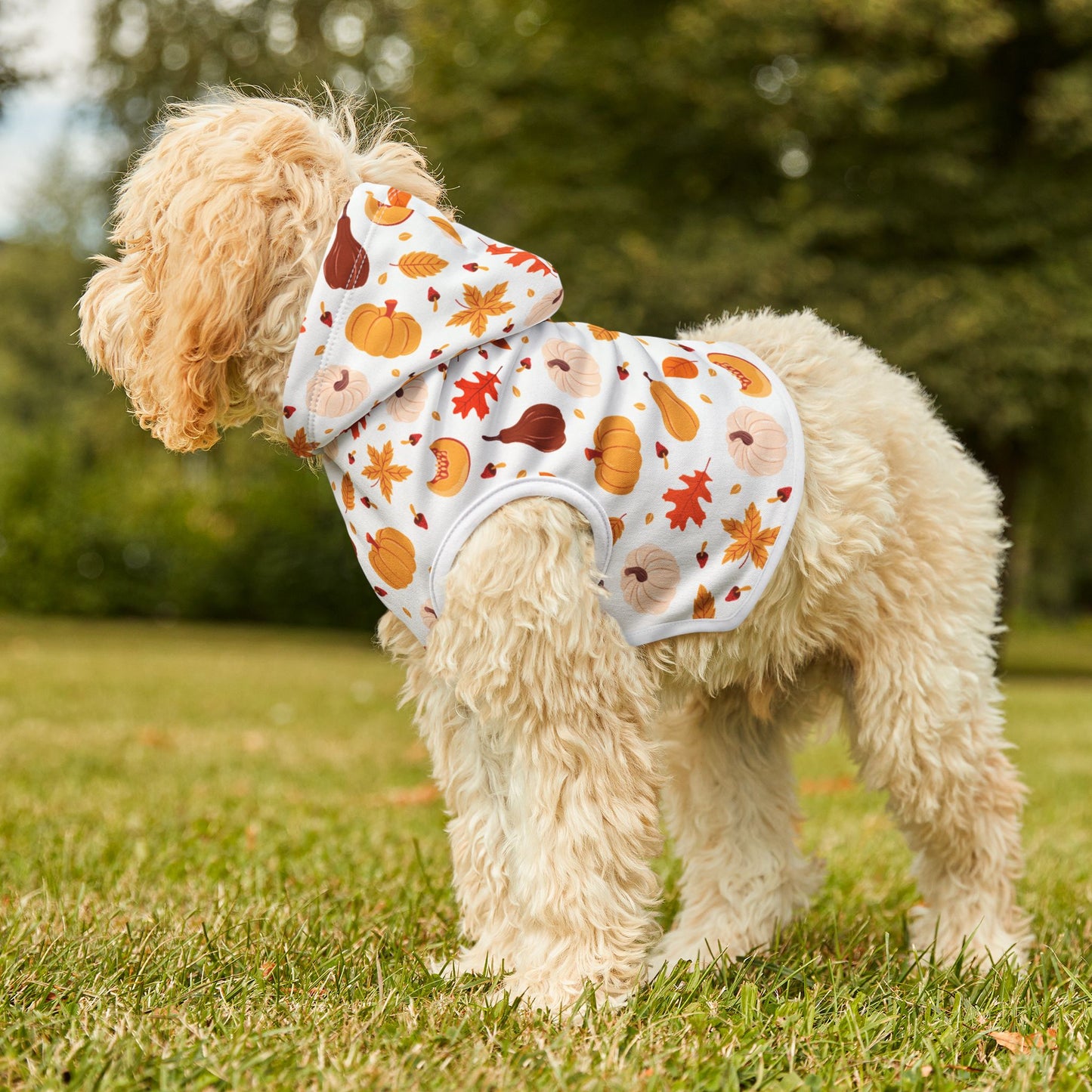Pumpkin Patch Pet Hoodie 🎃