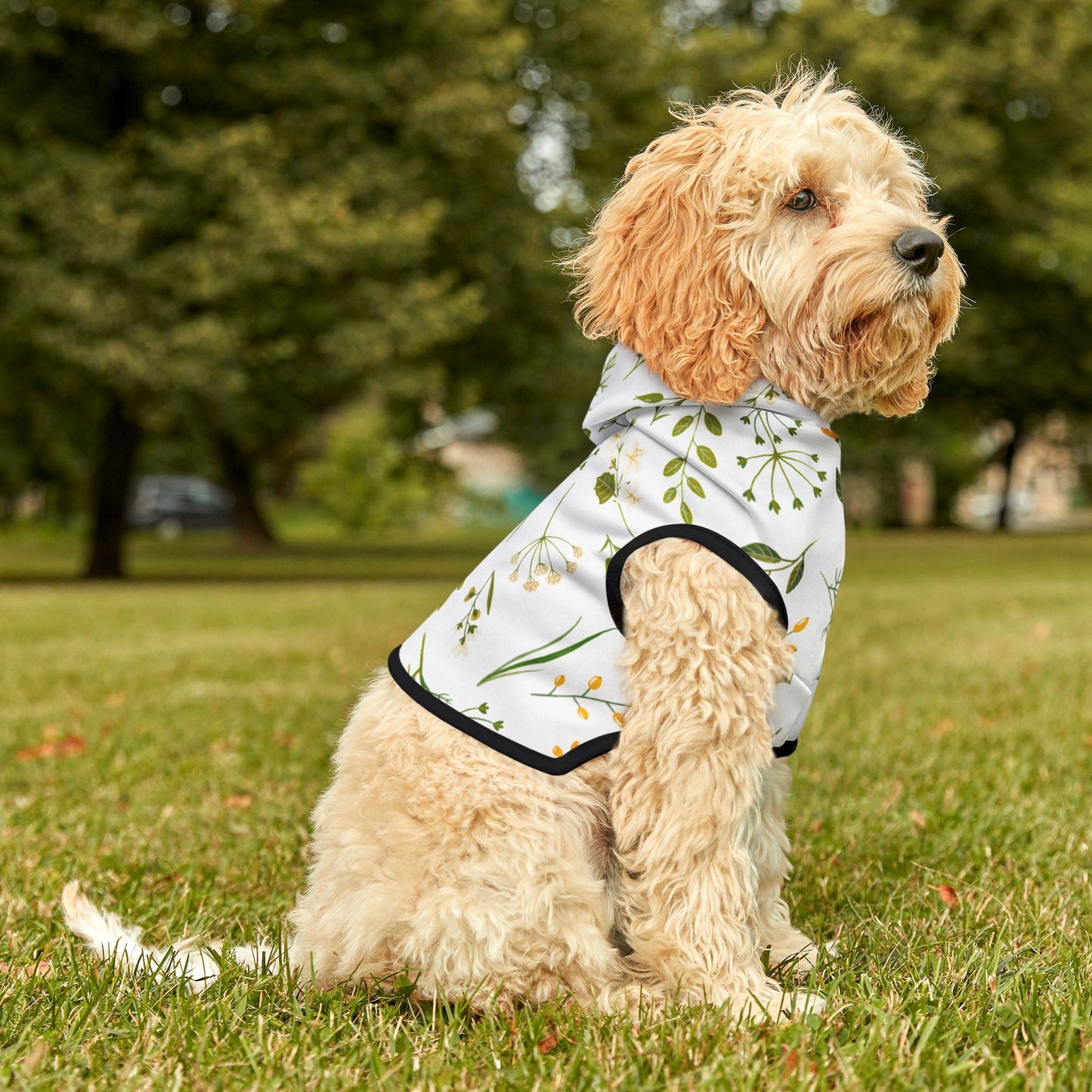 Spring Vibes Pet Hoodie 🌿