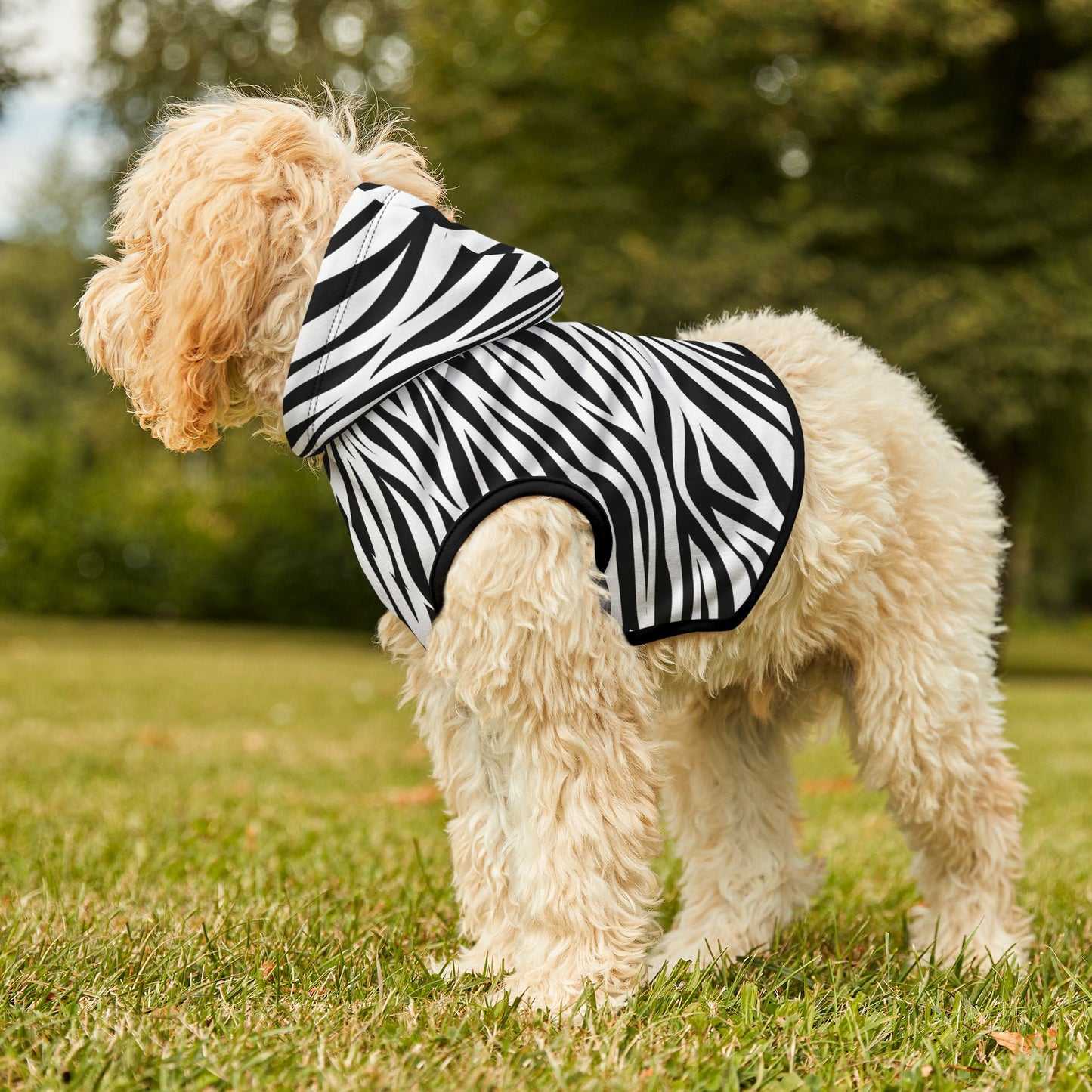 Zebra Pet Hoodie 🦓