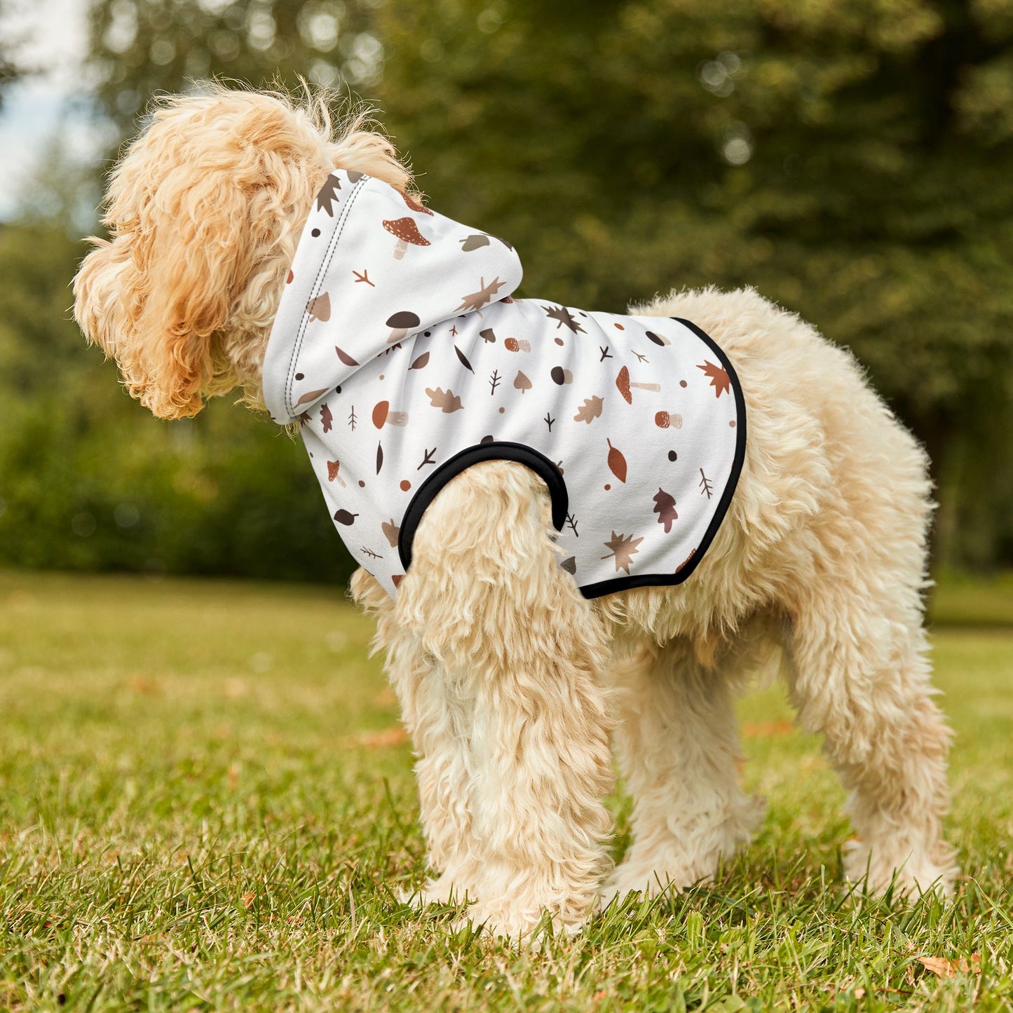 Falling for Fall Pet Hoodie 🍂