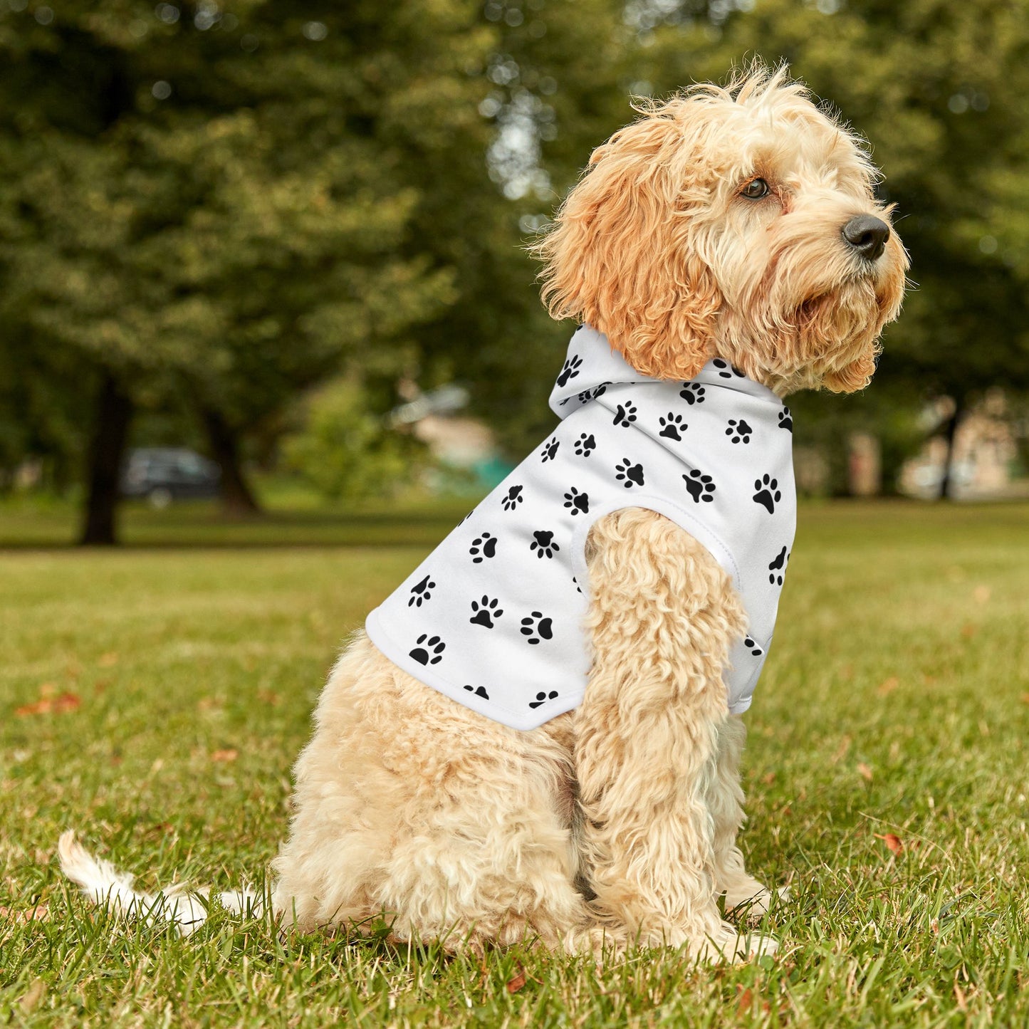 Paw Print Pet Hoodie 🐾