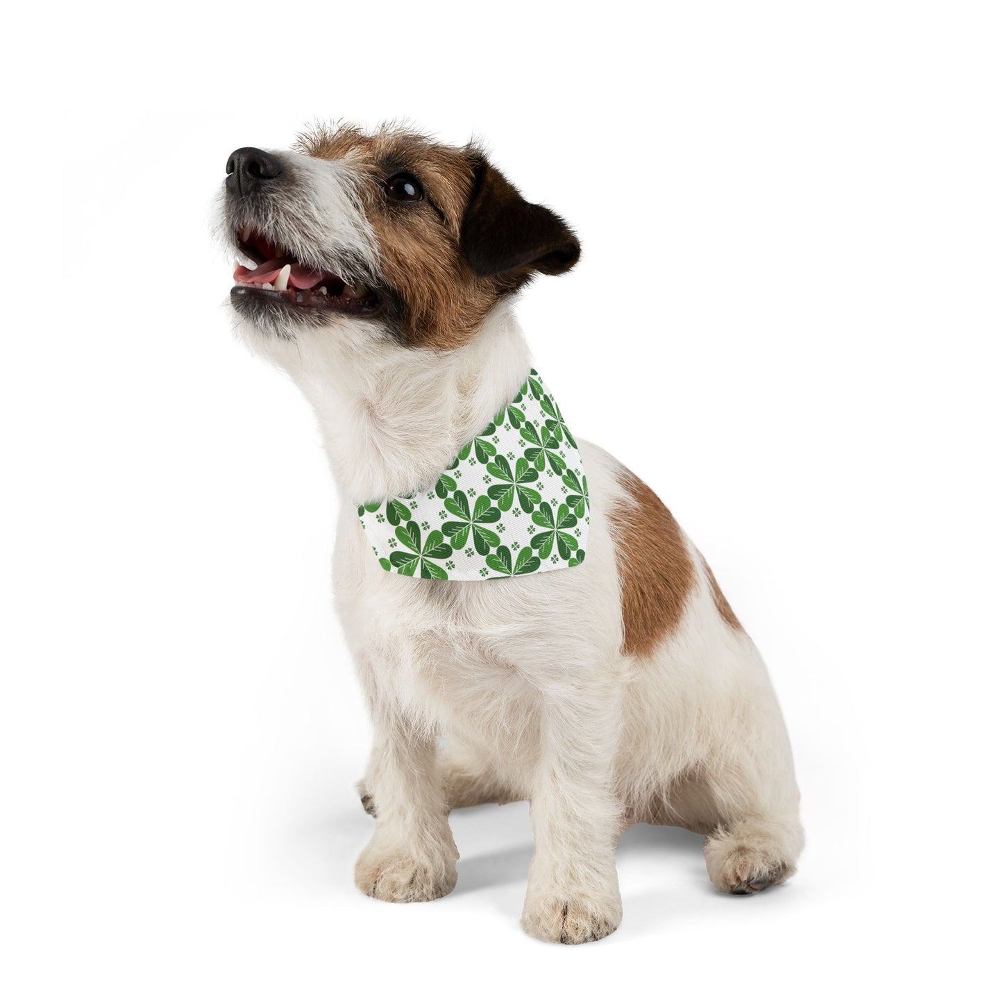 Lucky Clover Bandana Collar 🍀