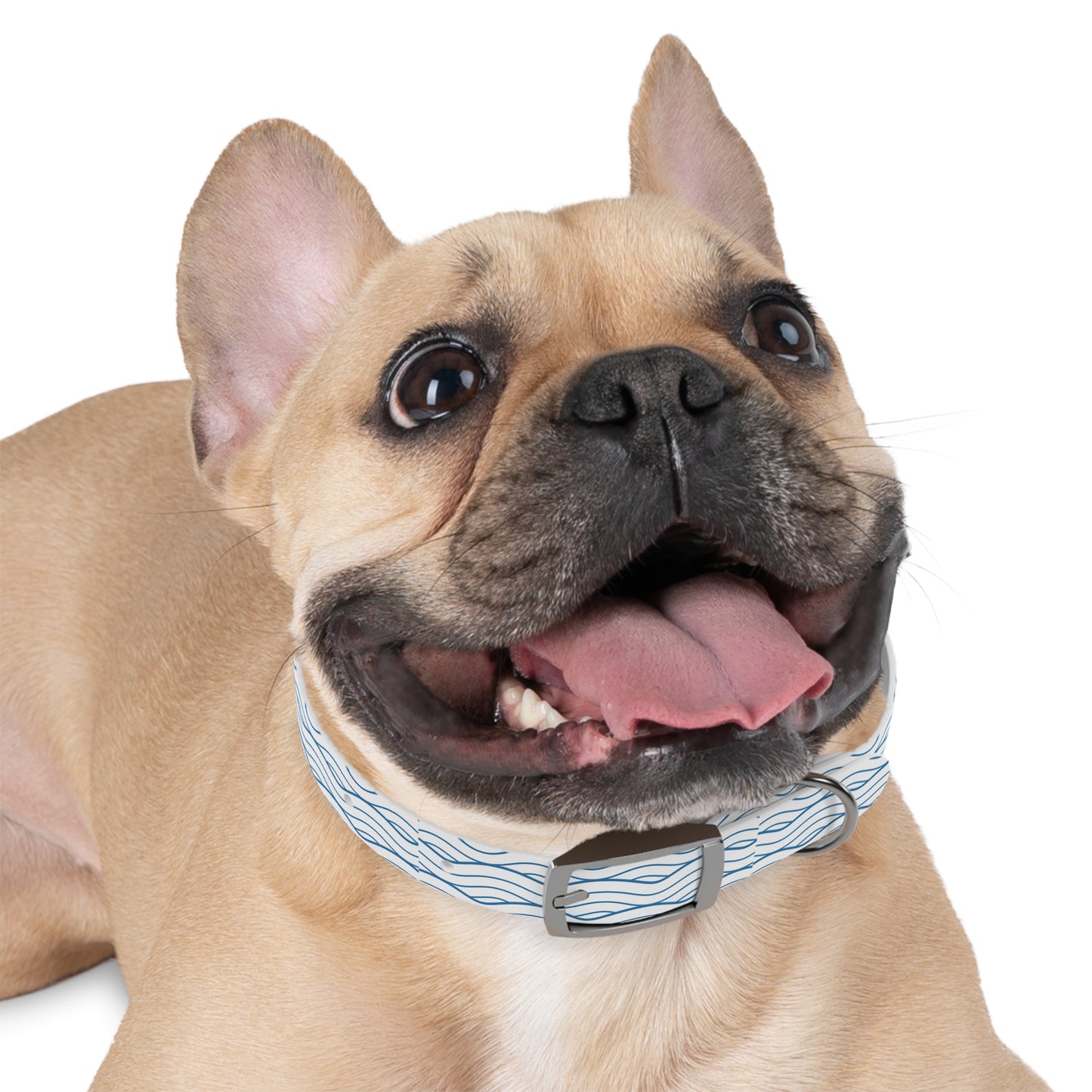 Wave Pattern Dog Collar 🌊
