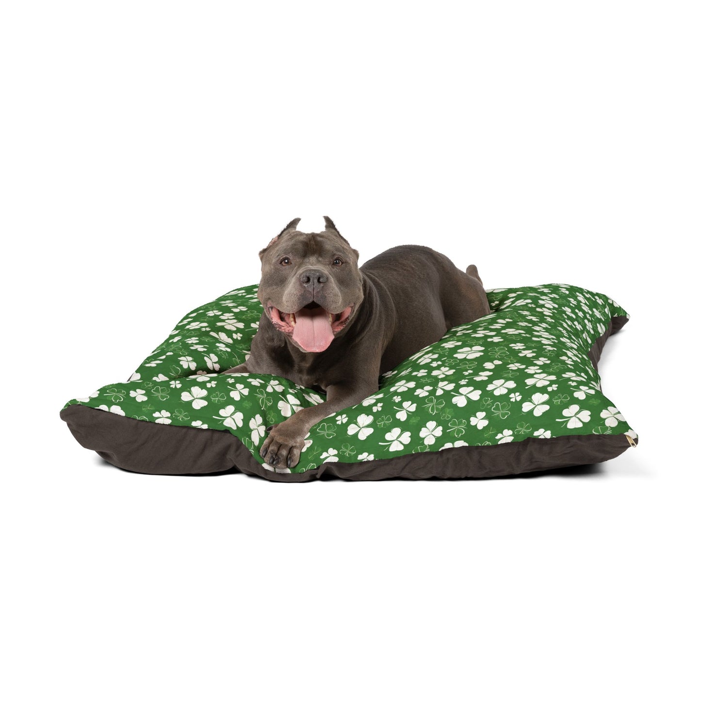 Lucky Pup Shamrock Pet Bed🍀🐾