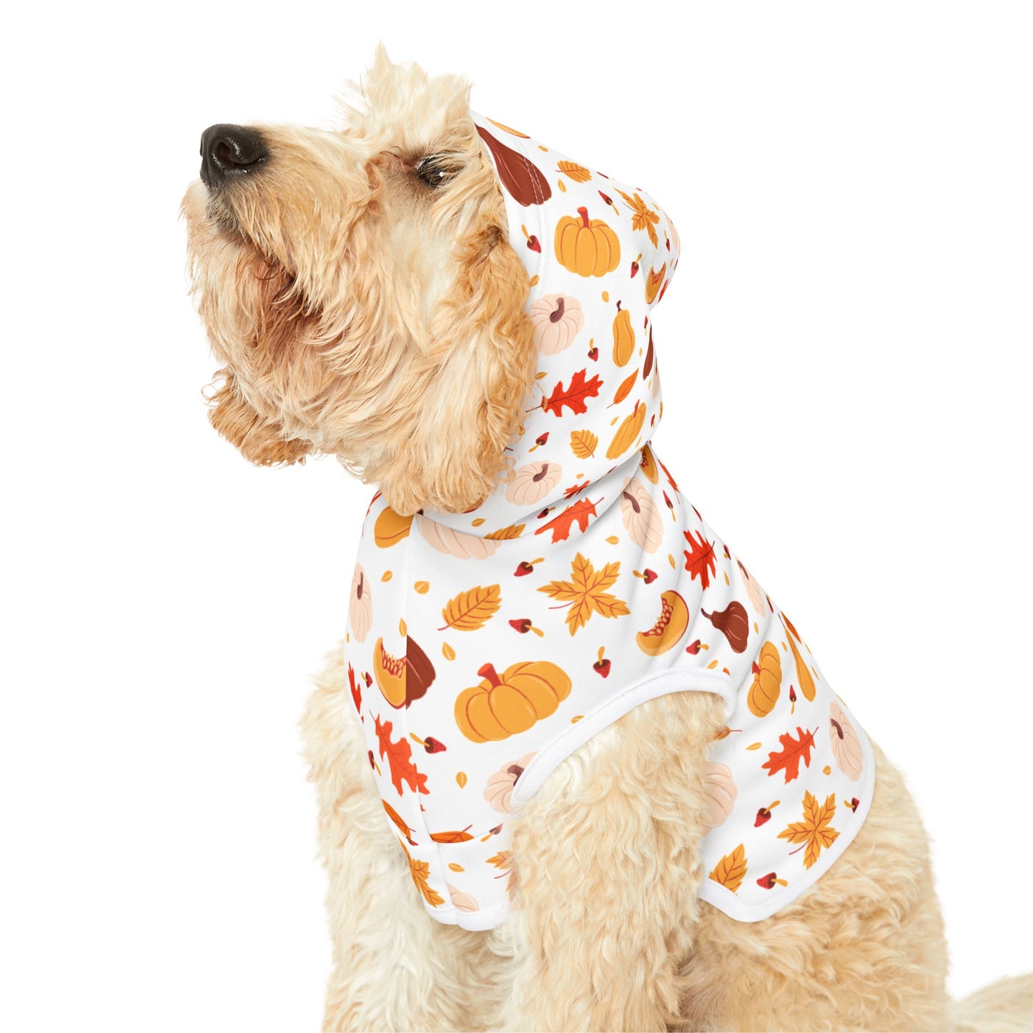 Pumpkin Patch Pet Hoodie 🎃