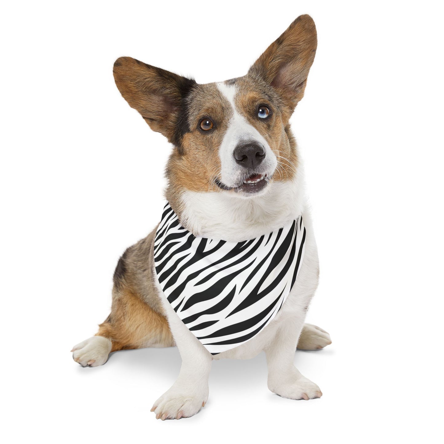 Zebra Pet Bandana Collar 🦓