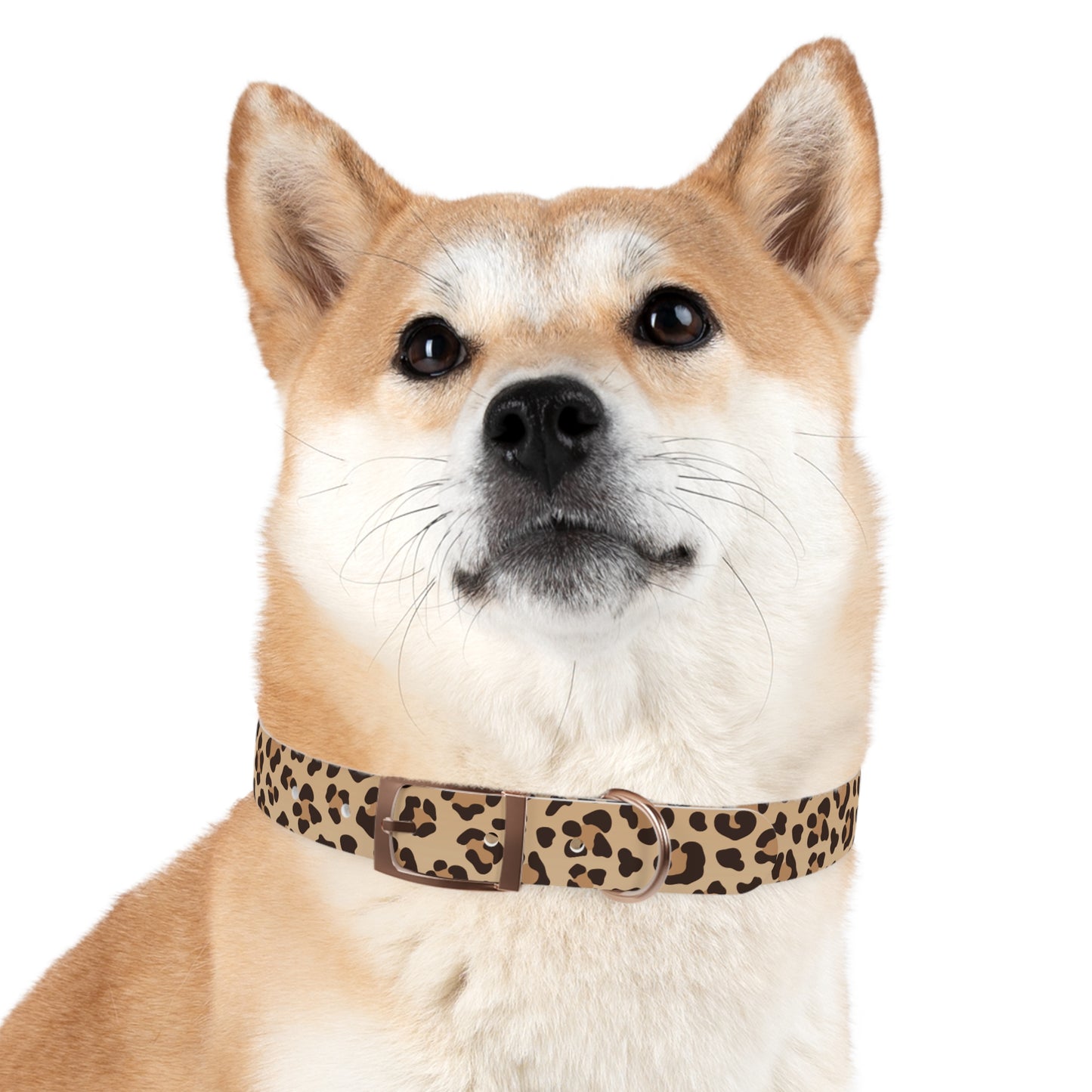 Leopard Print Dog Collar 🐆