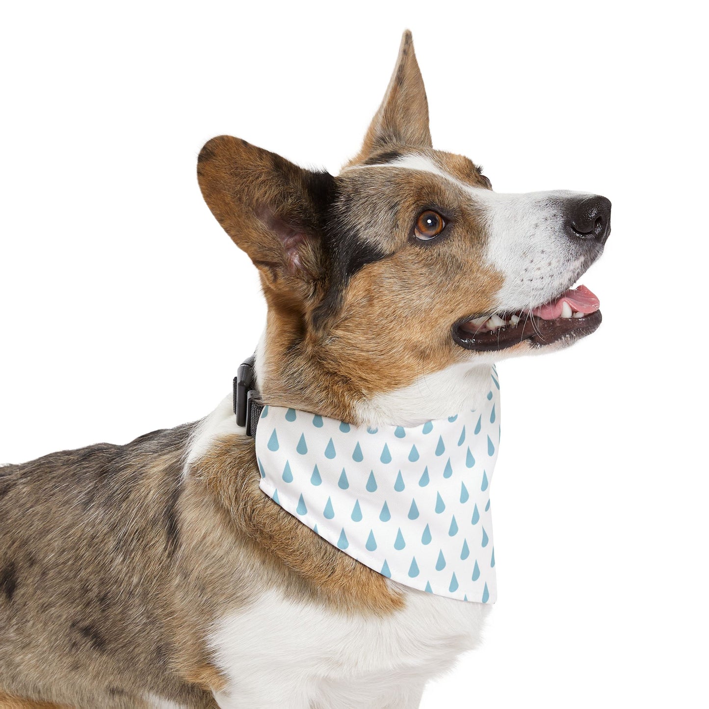 Raindrop Pet Bandana Collar