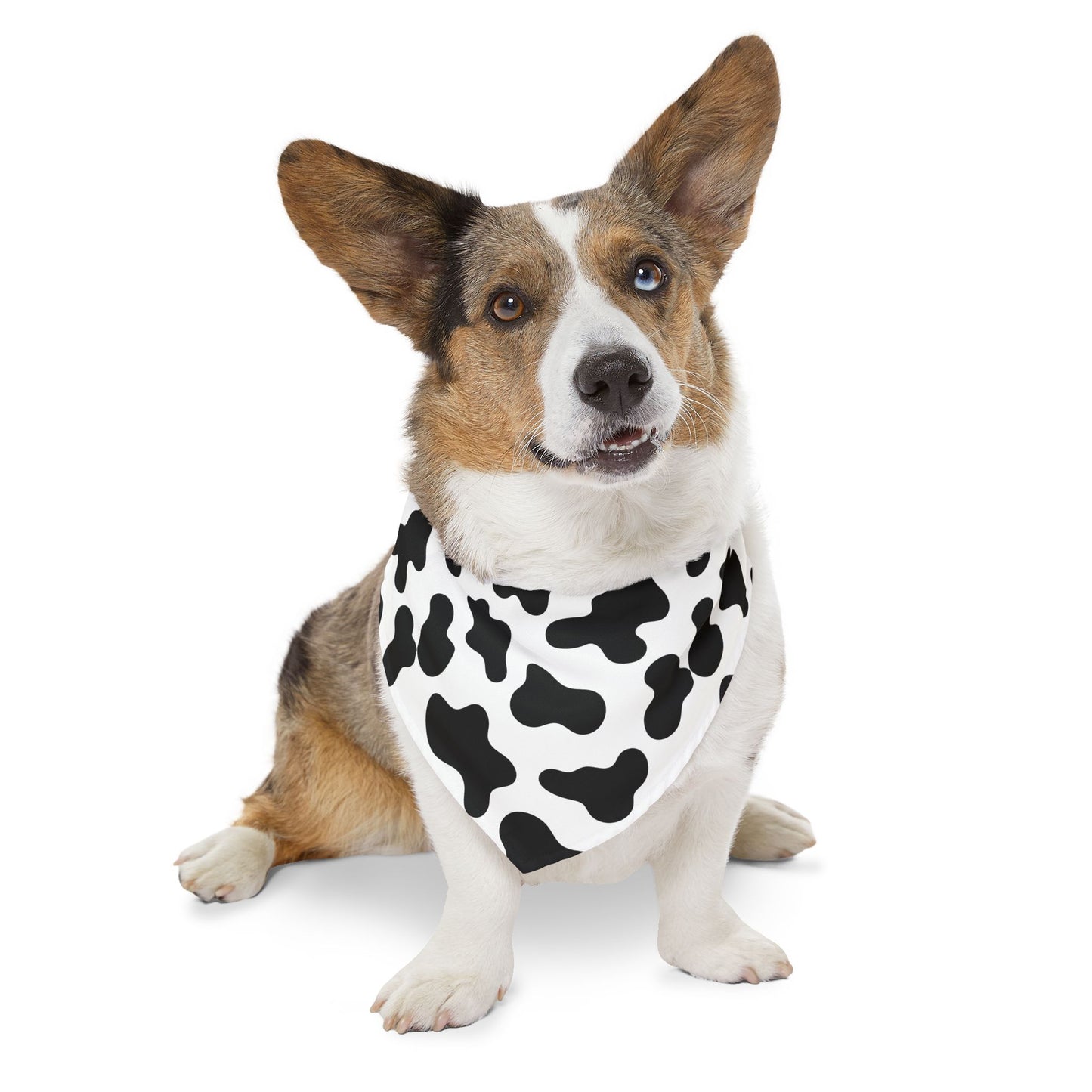 Cow Print Pet Bandana Collar 🐄