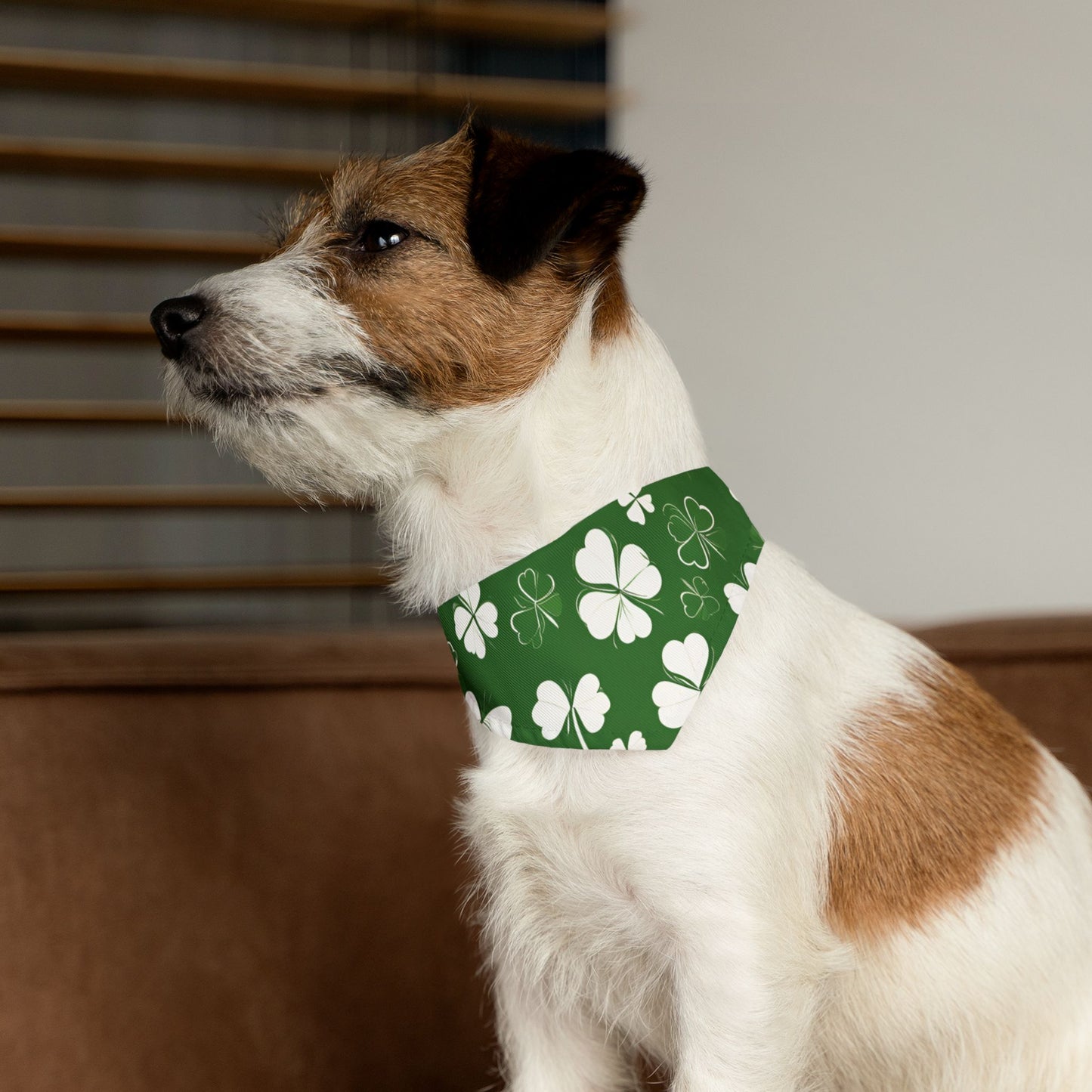 Lucky Pup Pet Bandana Collar 🍀