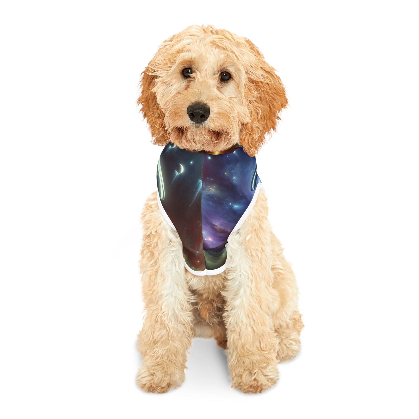 Out-of-This-World UFO Pet Hoodie 🛸👽