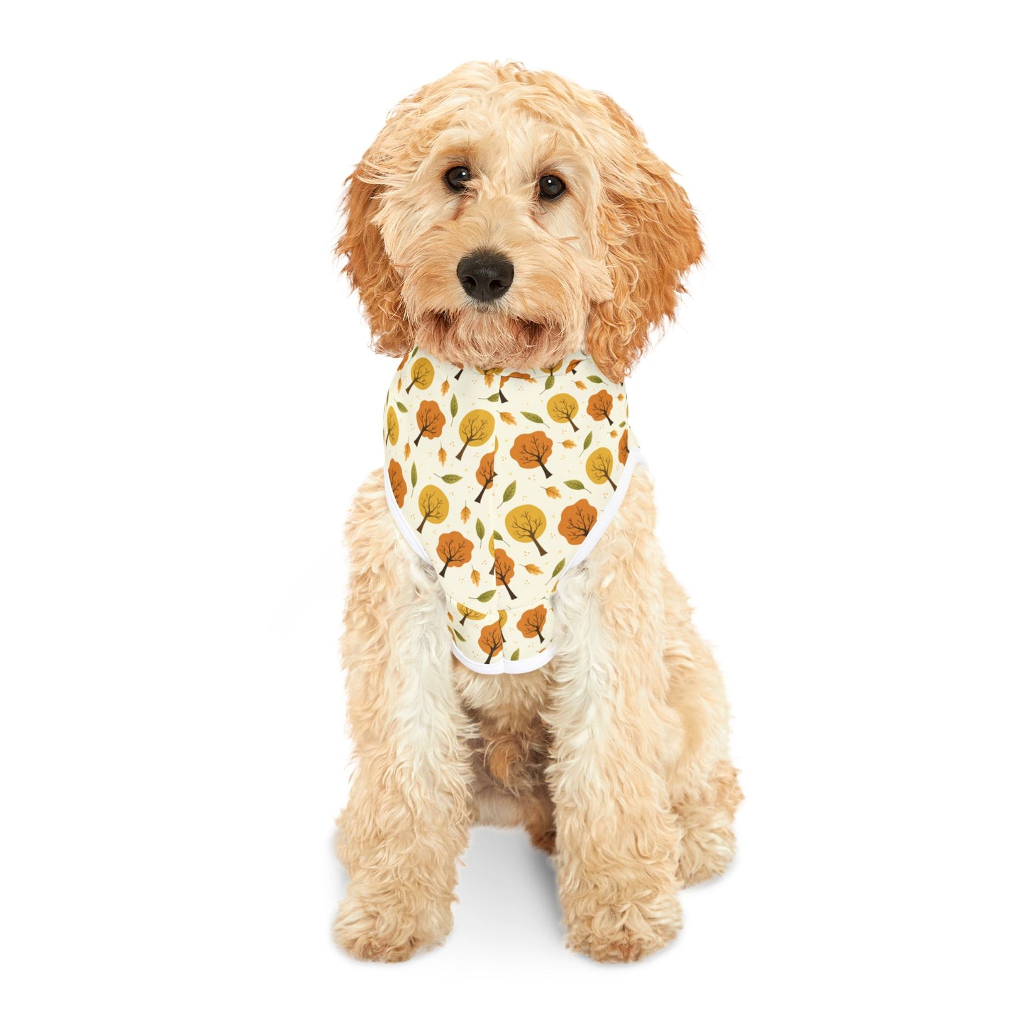 Park Stroll Pet Hoodie 🍂