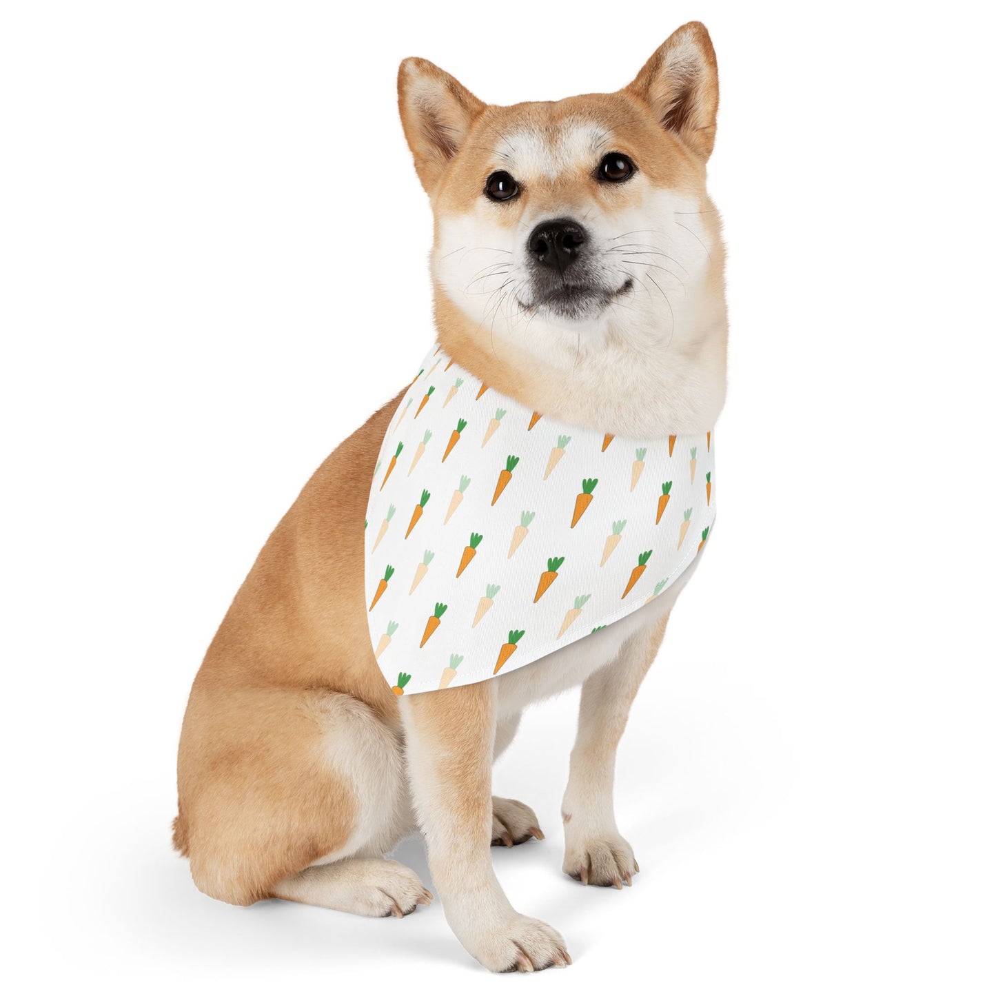 Carrot Pet Bandana Collar 🥕