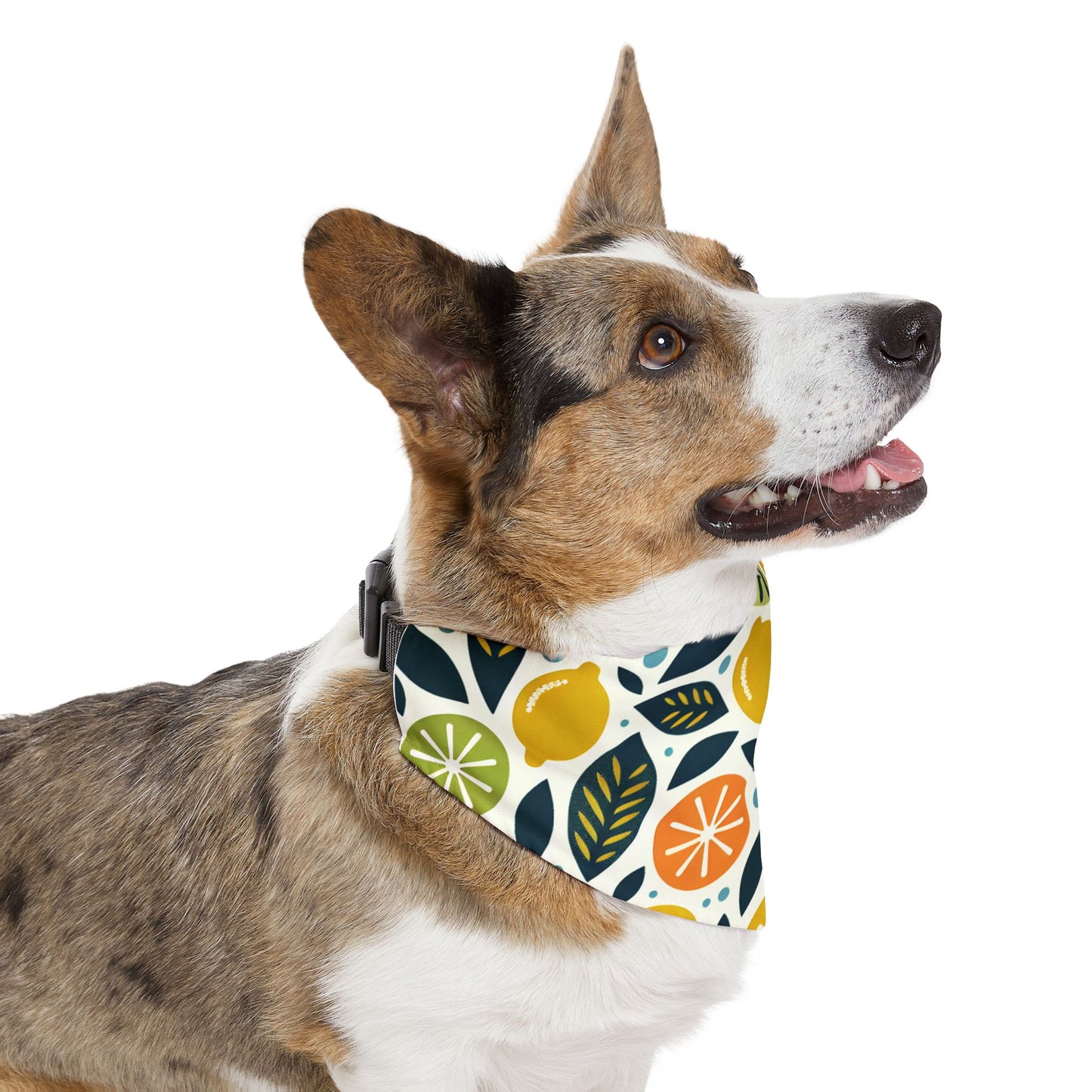 Citrus Pet Bandana Collar 🍊
