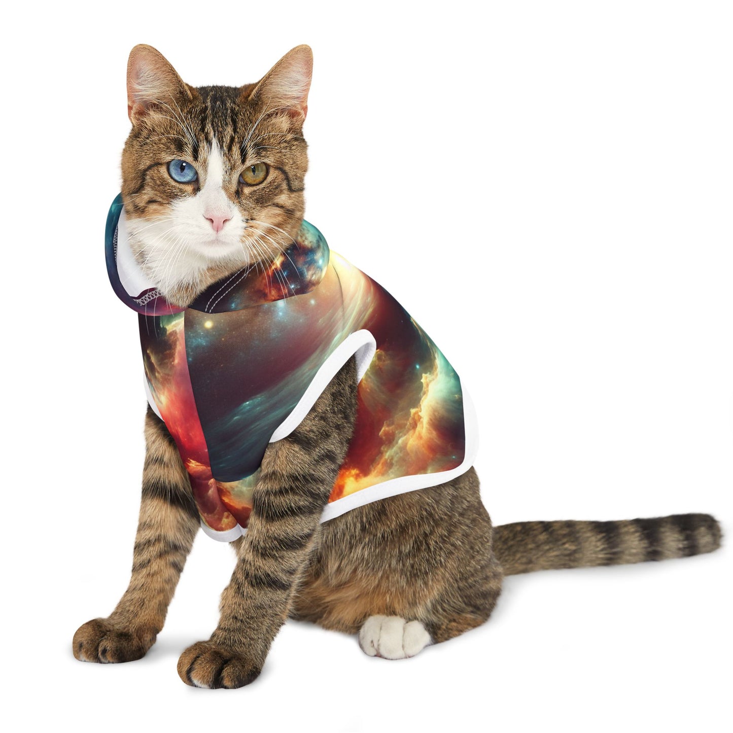 Spacey Pet Hoodie 🌌
