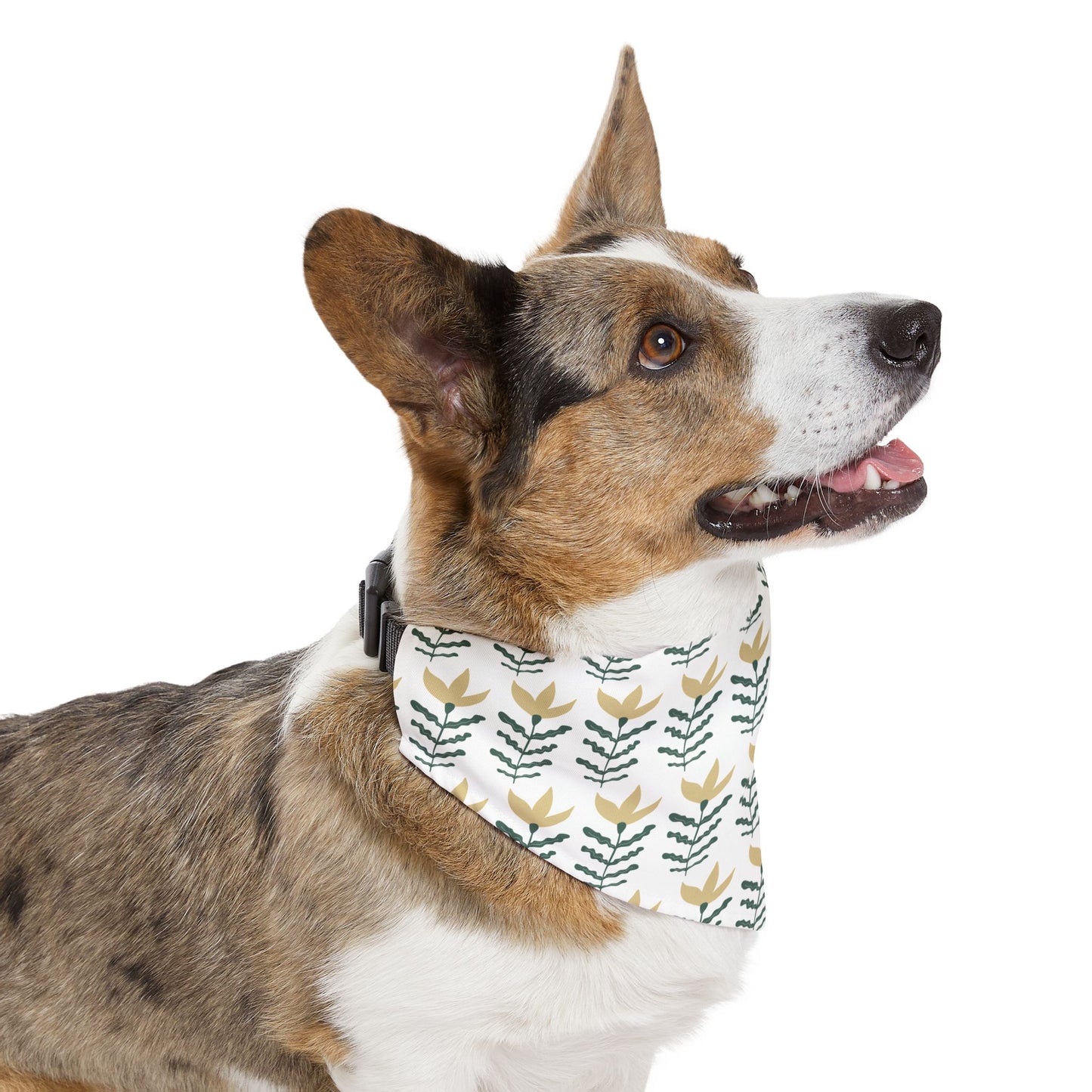 Gold and Vine Pet Bandana Collar