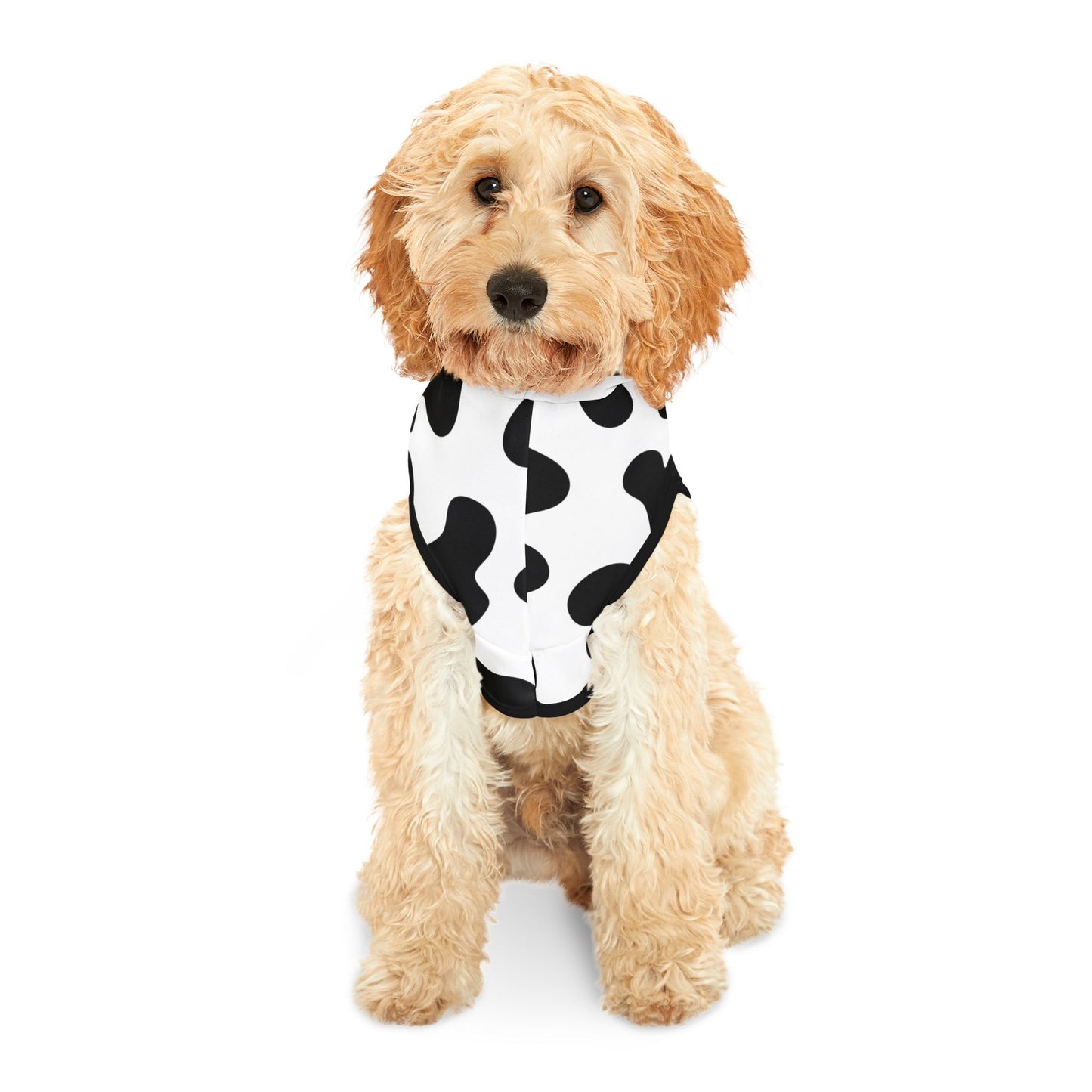 Cow Print Pet Hoodie 🐮