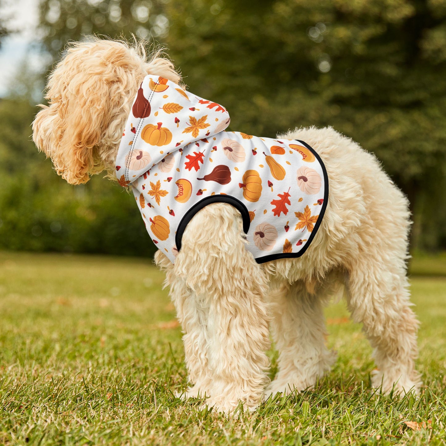 Pumpkin Patch Pet Hoodie 🎃