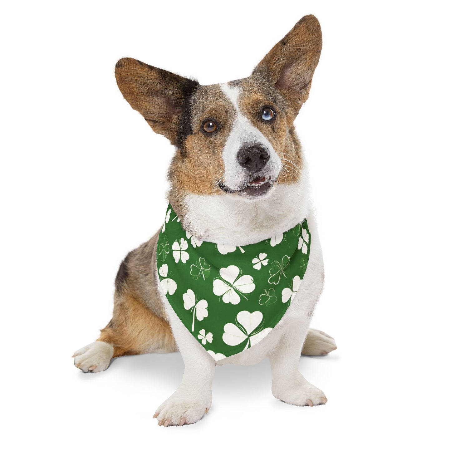 Lucky Pup Pet Bandana Collar 🍀