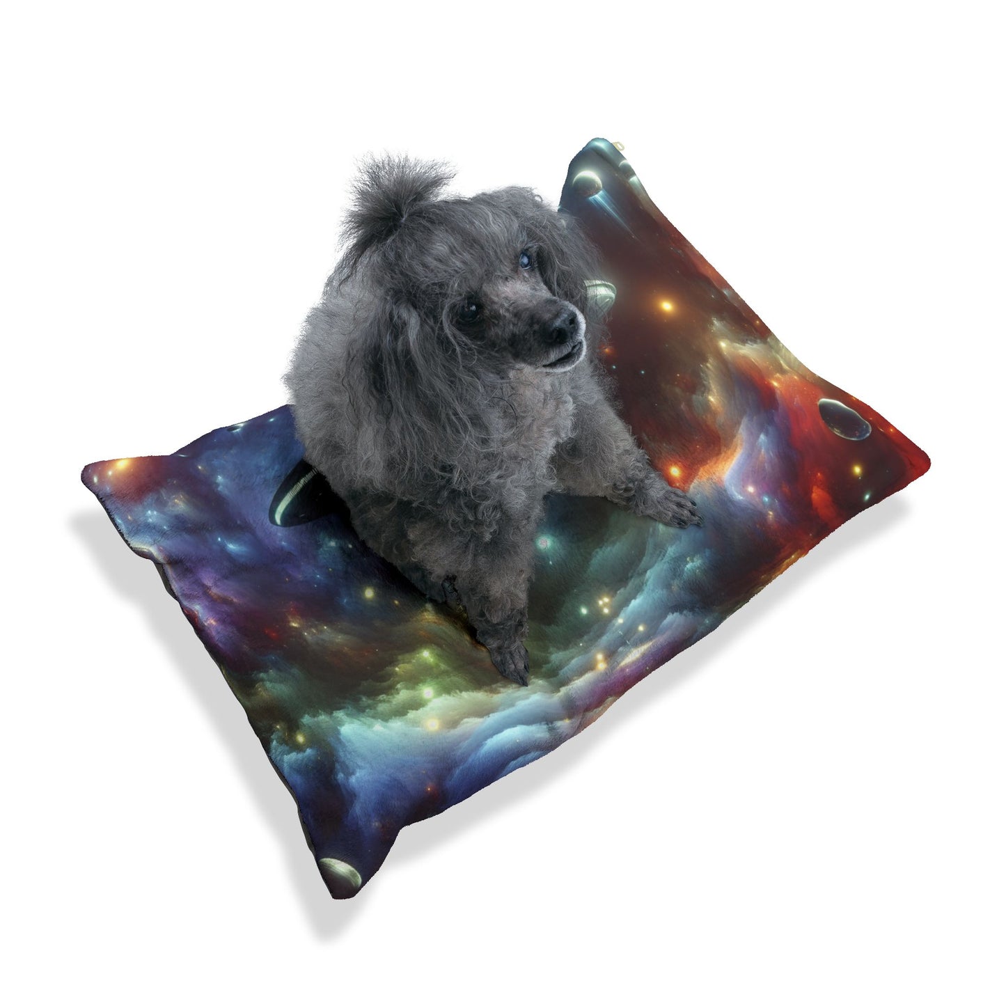 Out-of-This-World UFO Pet Bed