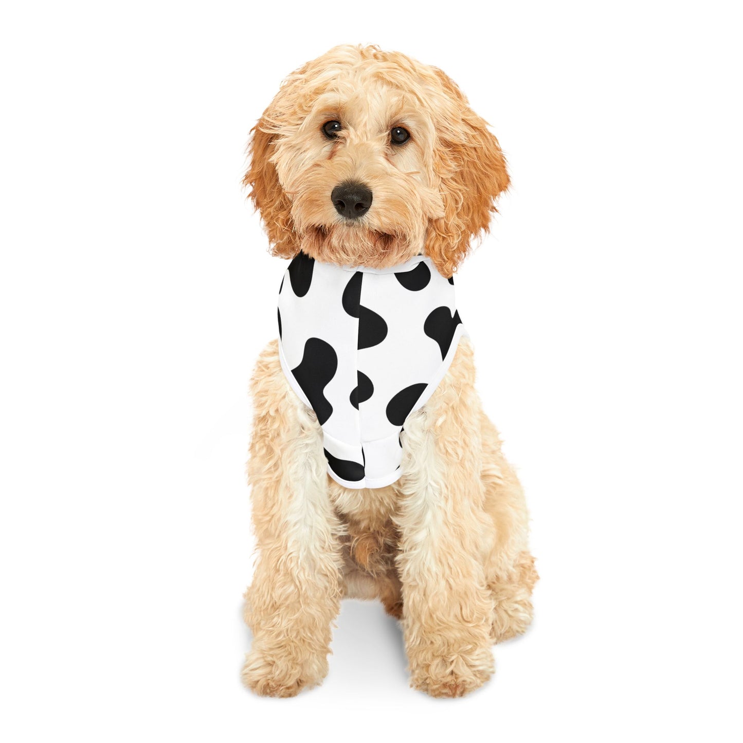 Cow Print Pet Hoodie 🐮