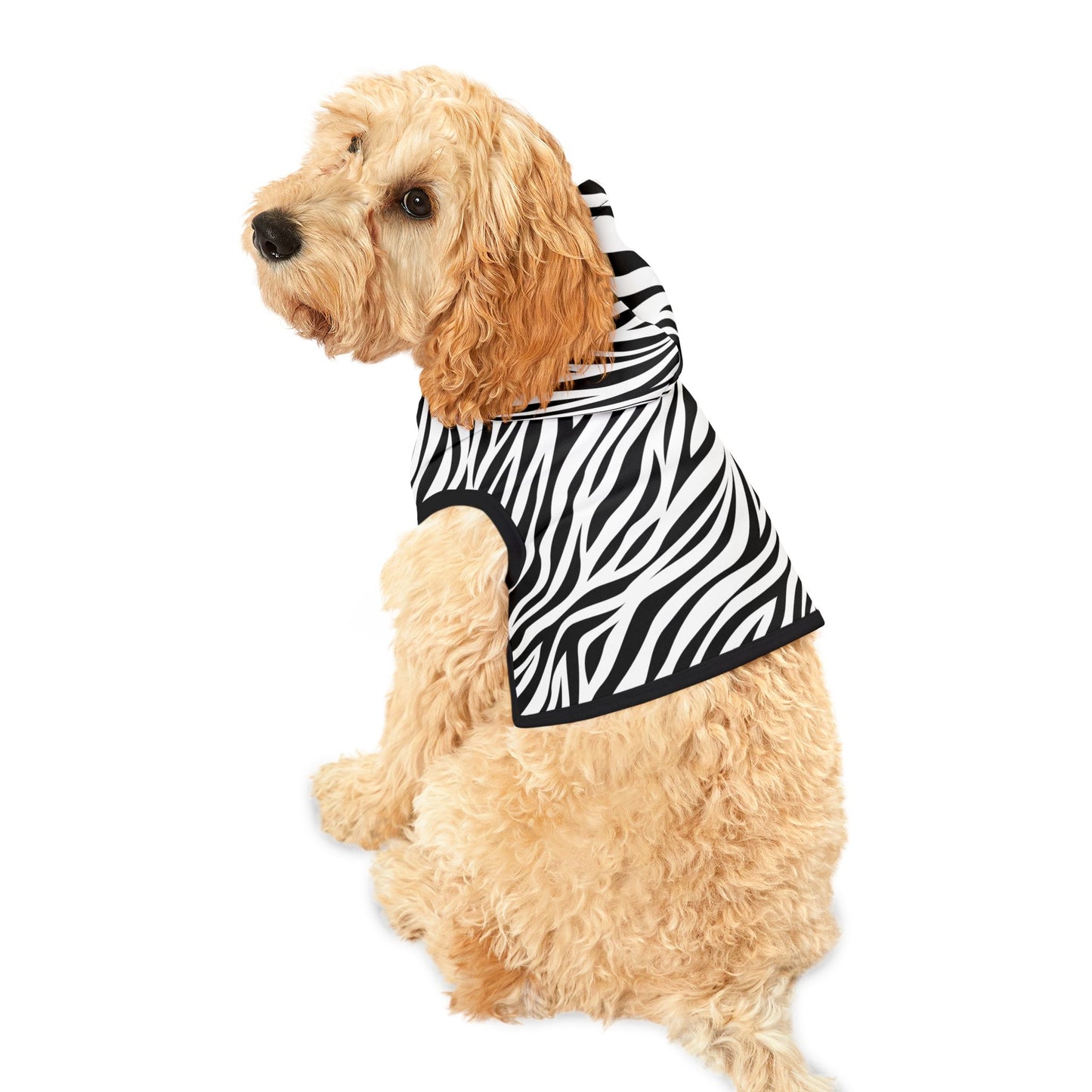 Zebra Pet Hoodie 🦓