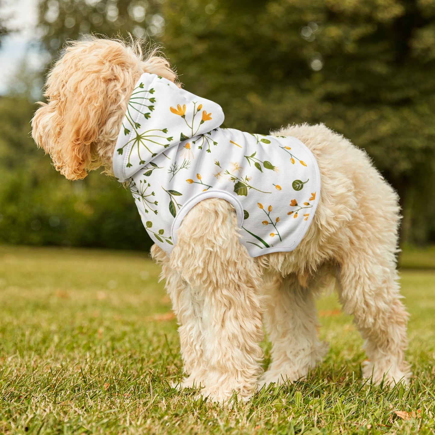 Spring Vibes Pet Hoodie 🌿