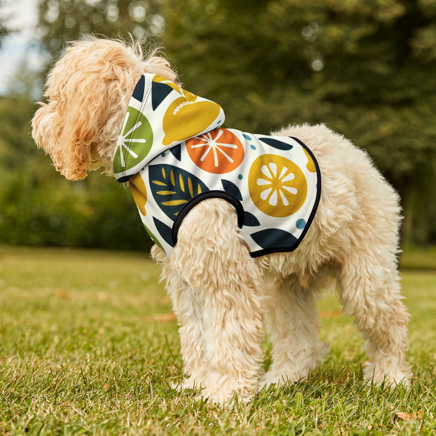 Citrus Pet Hoodie 🍊