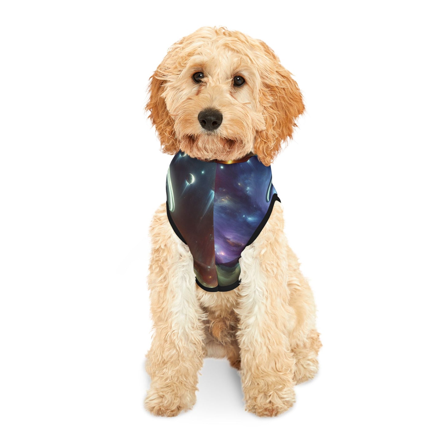 Out-of-This-World UFO Pet Hoodie 🛸👽