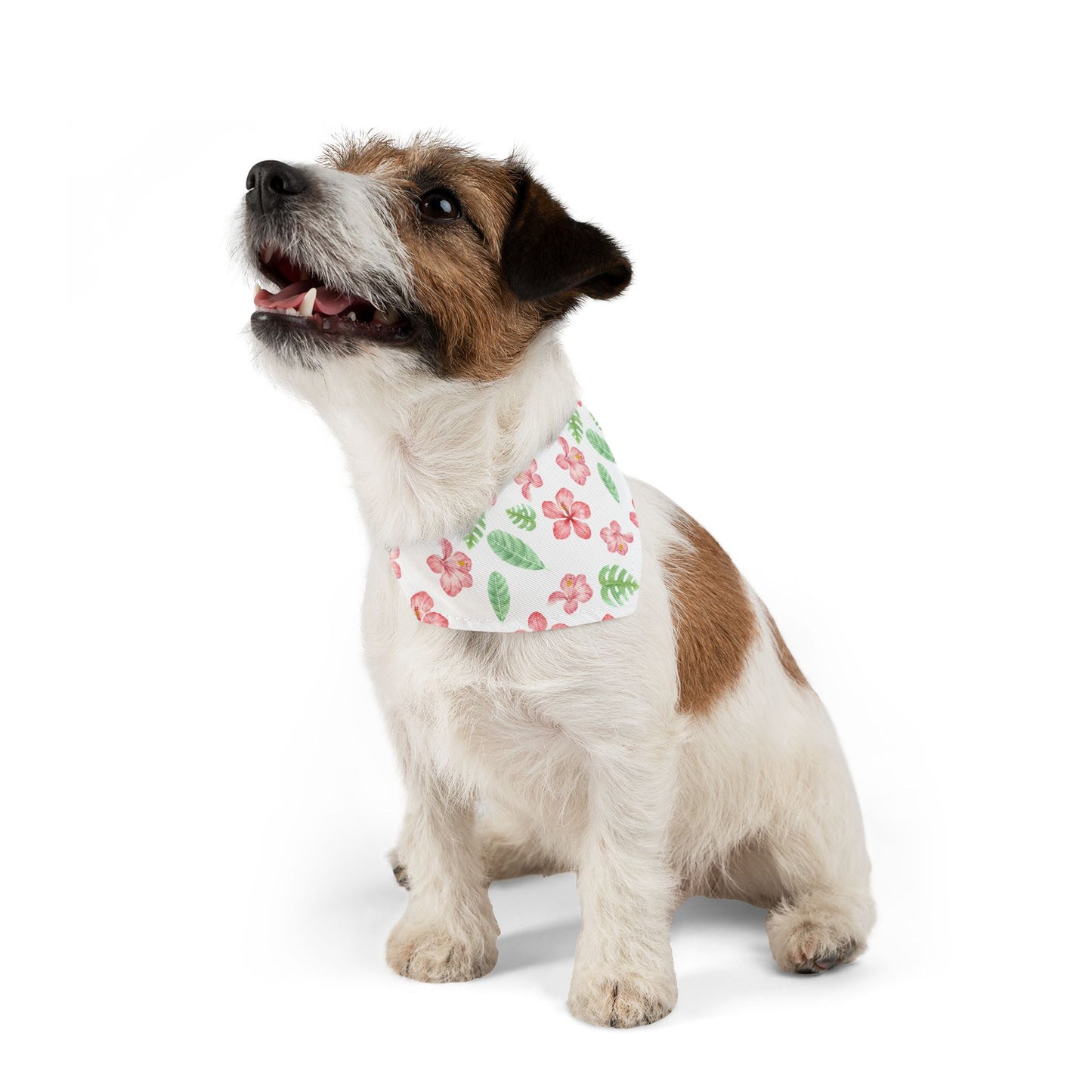 Tropical Floral Pet Bandana Collar 🌺