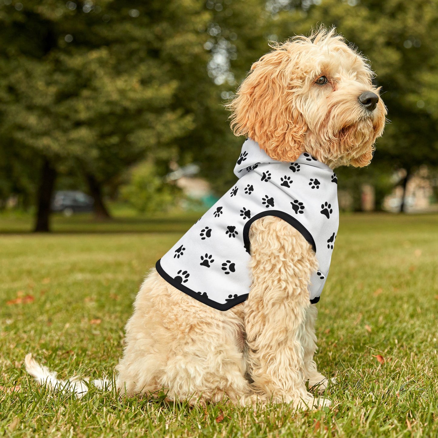 Paw Print Pet Hoodie 🐾