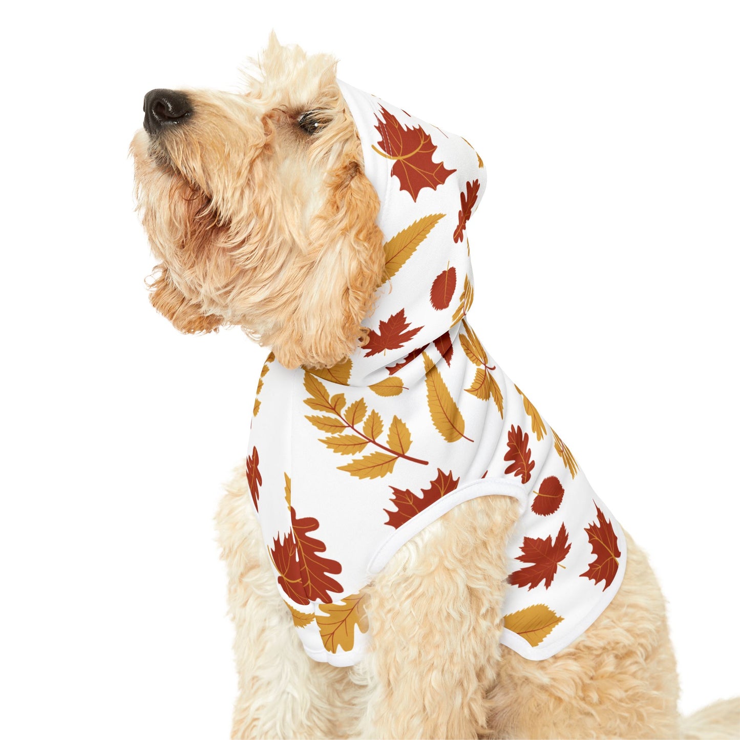 Falling Leaves Pet Hoodie 🍁