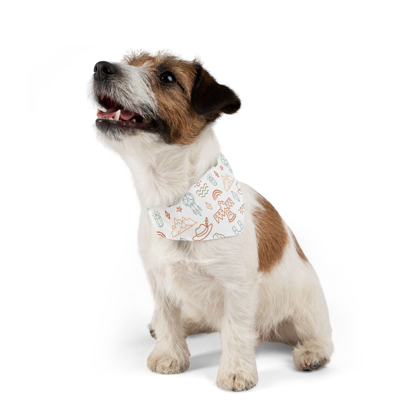 Boho Southwest Pet Bandana Collar 🌵