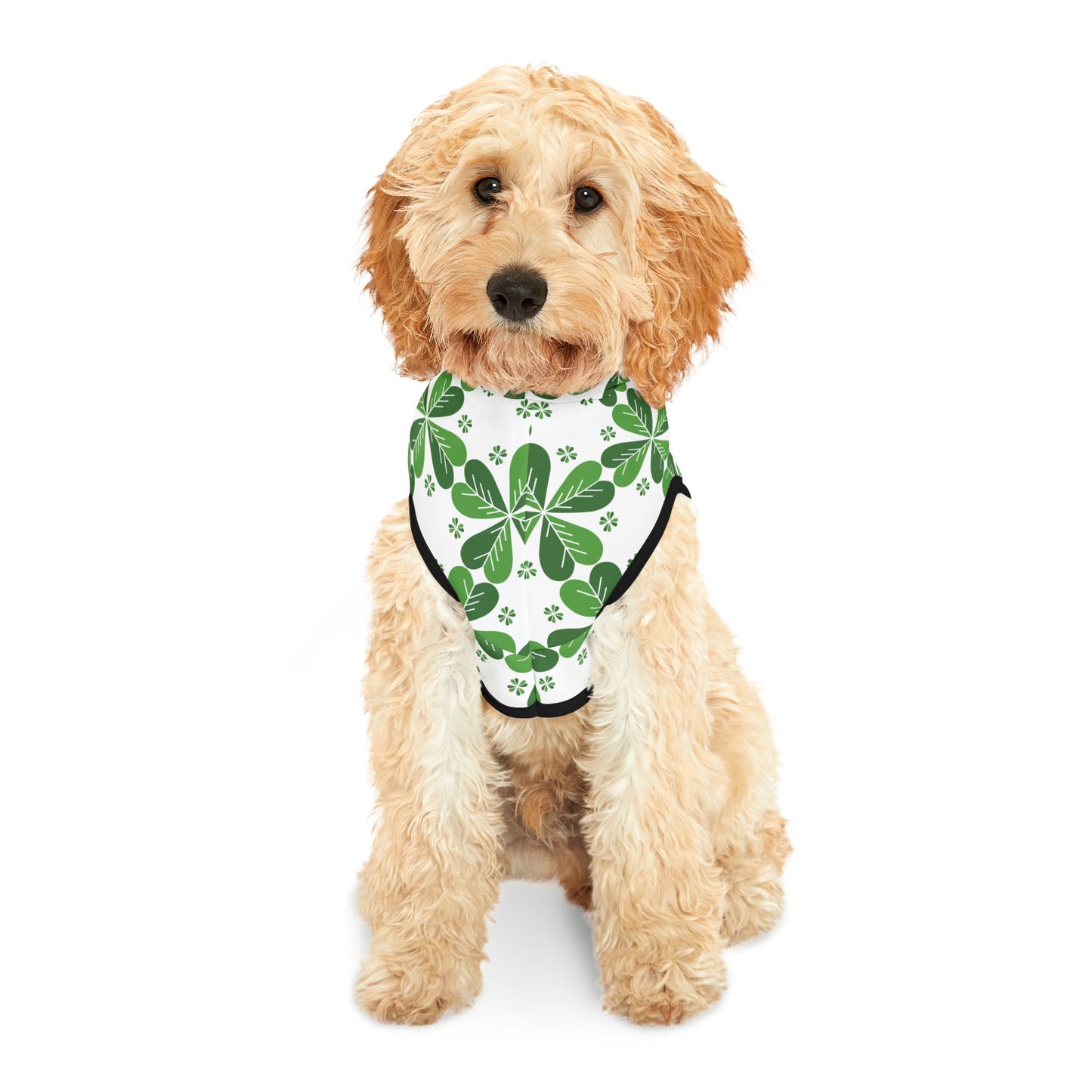 Lucky Clover Pet Hoodie 🍀