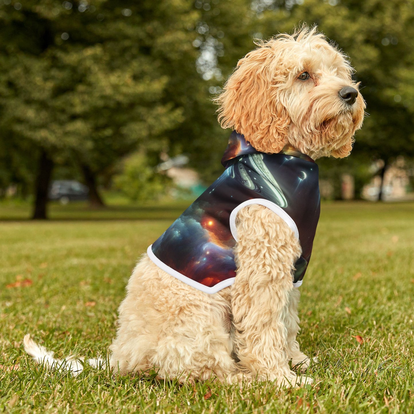 Out-of-This-World UFO Pet Hoodie 🛸👽