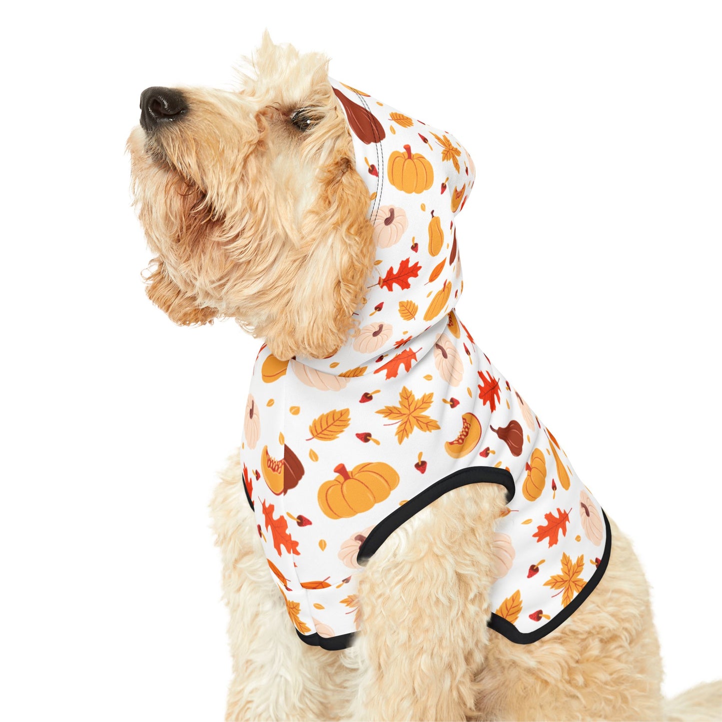 Pumpkin Patch Pet Hoodie 🎃